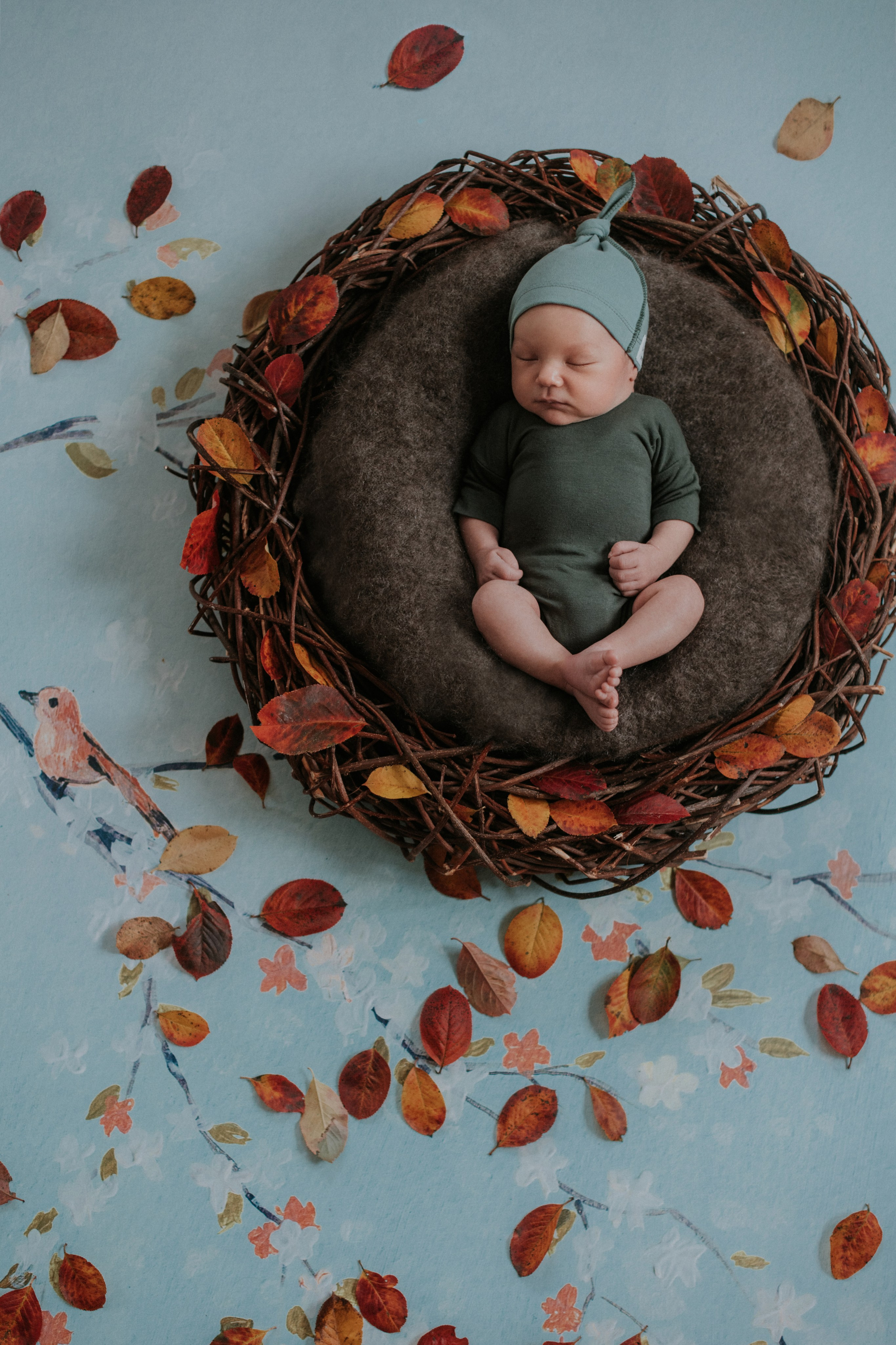 Младенцы. Семейный фотограф в Москве Полина Ситникова