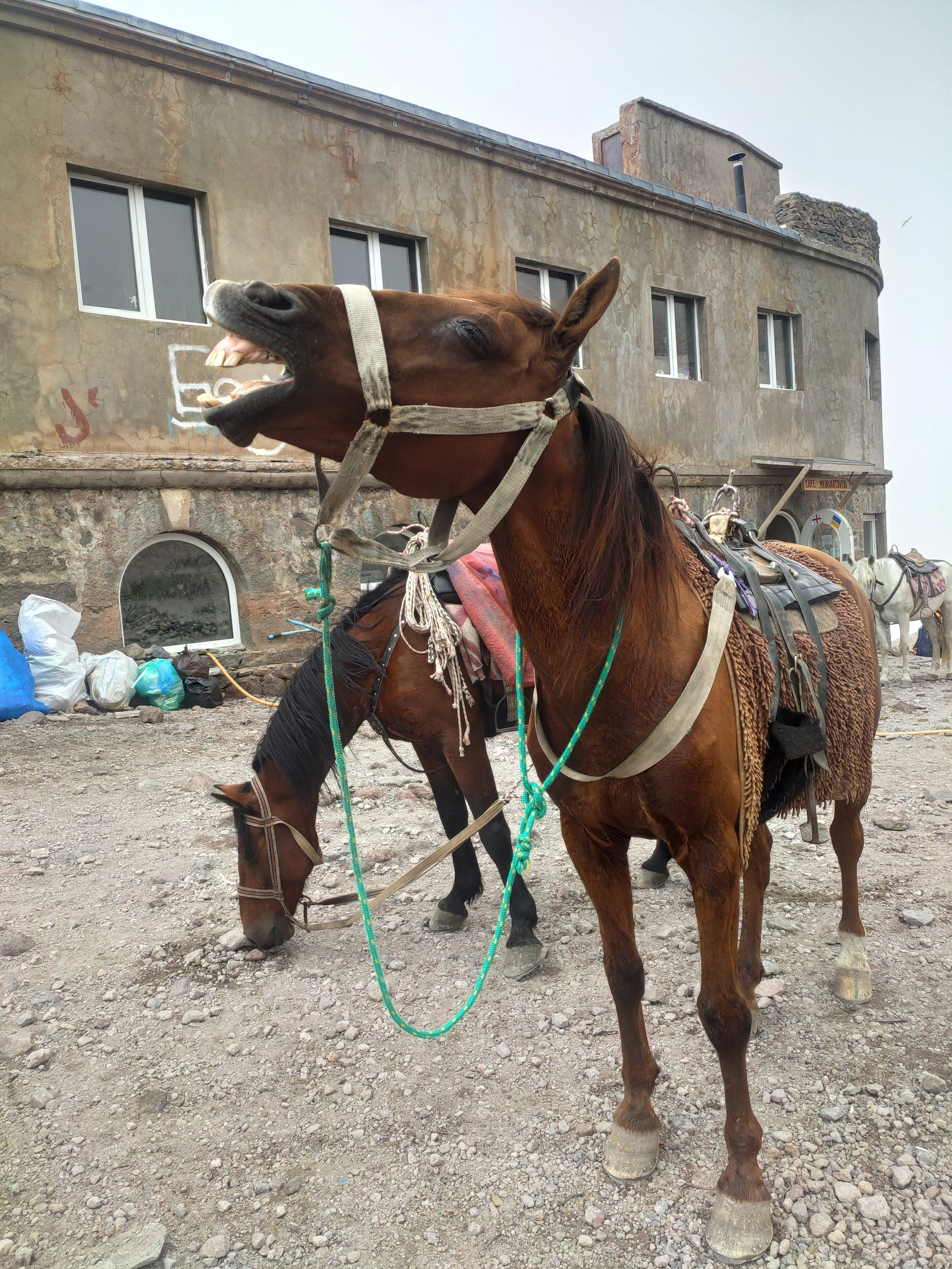 Ресурсы. Контент-фотограф Рязань/Москва/Санкт-Петербург/Сочи Елена Сазонтова