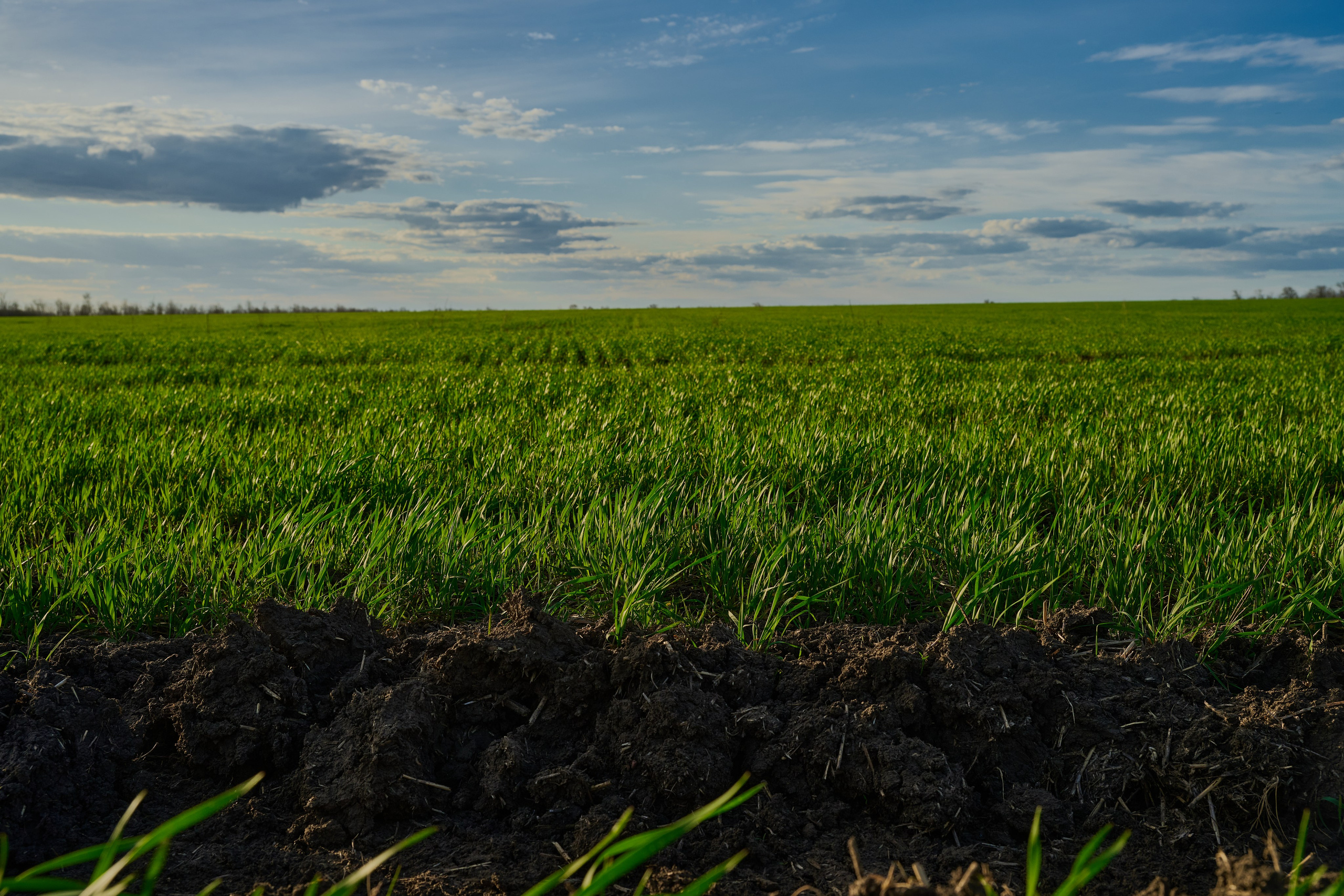 Фото для презентации фотопроекта «Территории». Фотопроект «Территории»