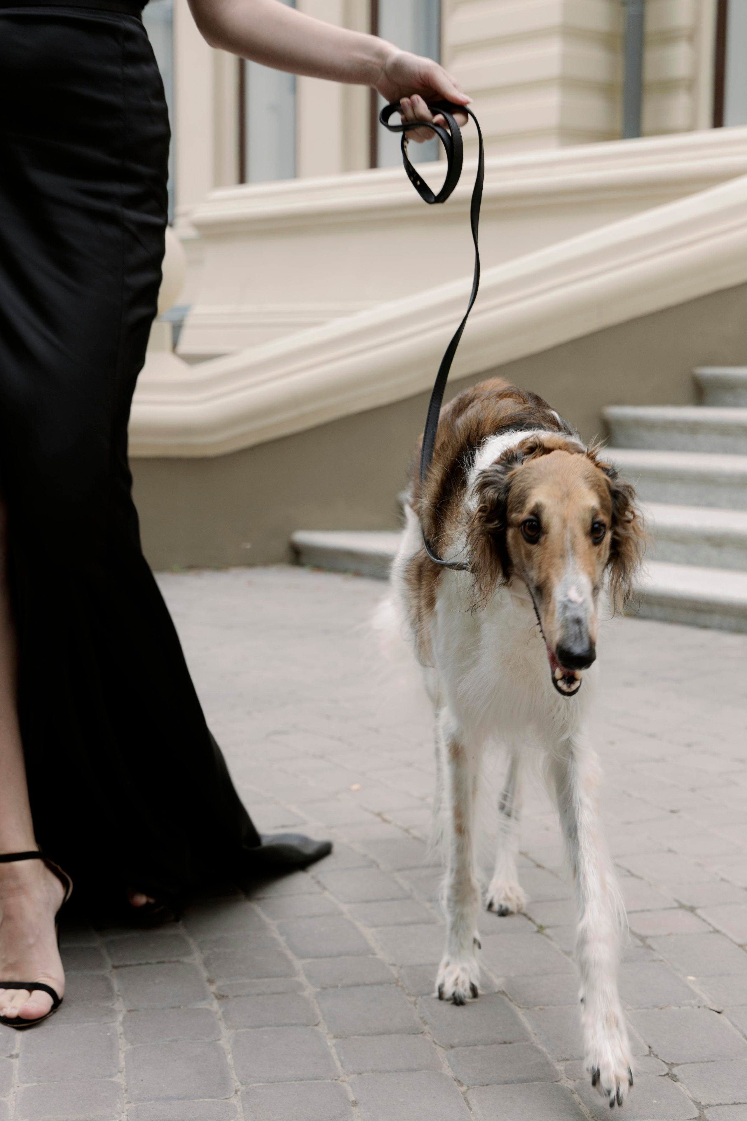 Rafael&Adelina. Valeriyamelnikova.ru