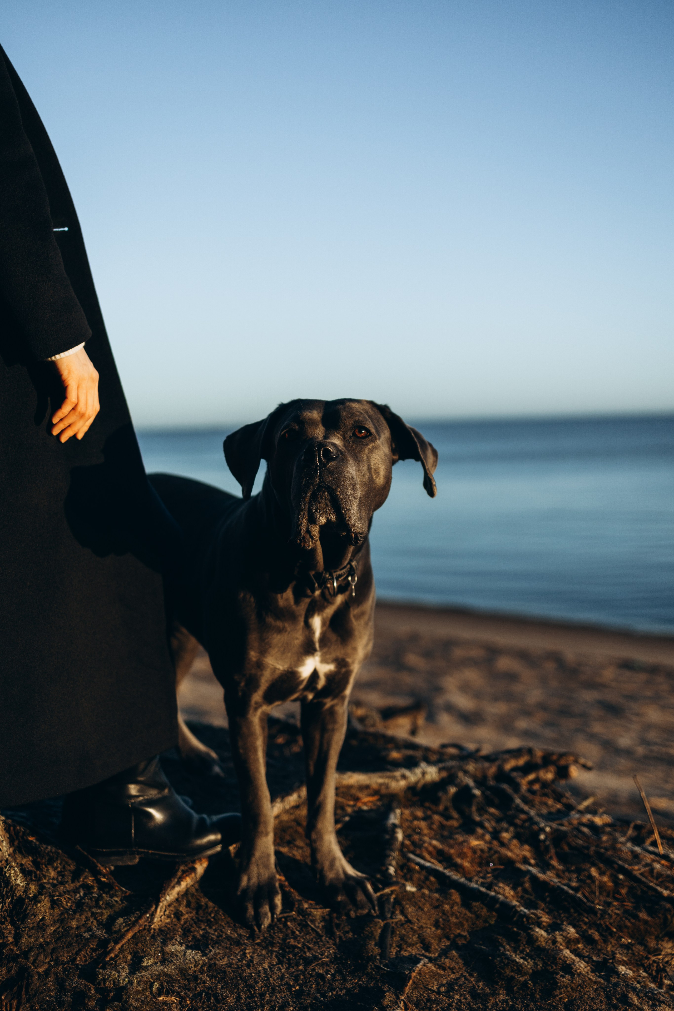 Анна и Лана. Фотограф — Анималист | Санкт-Петербург