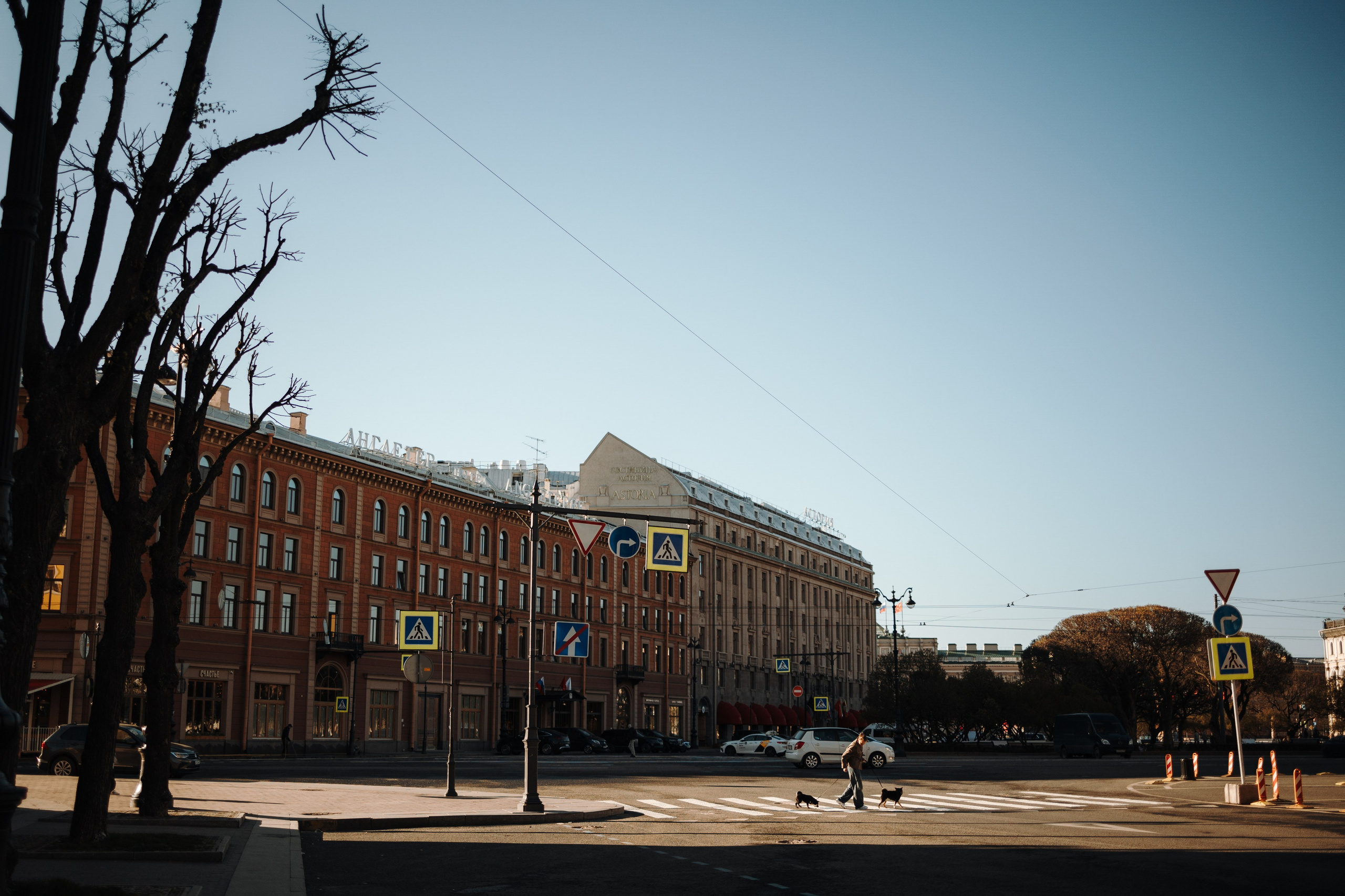 Даша и ее девочки. Фотограф — Анималист | Санкт-Петербург