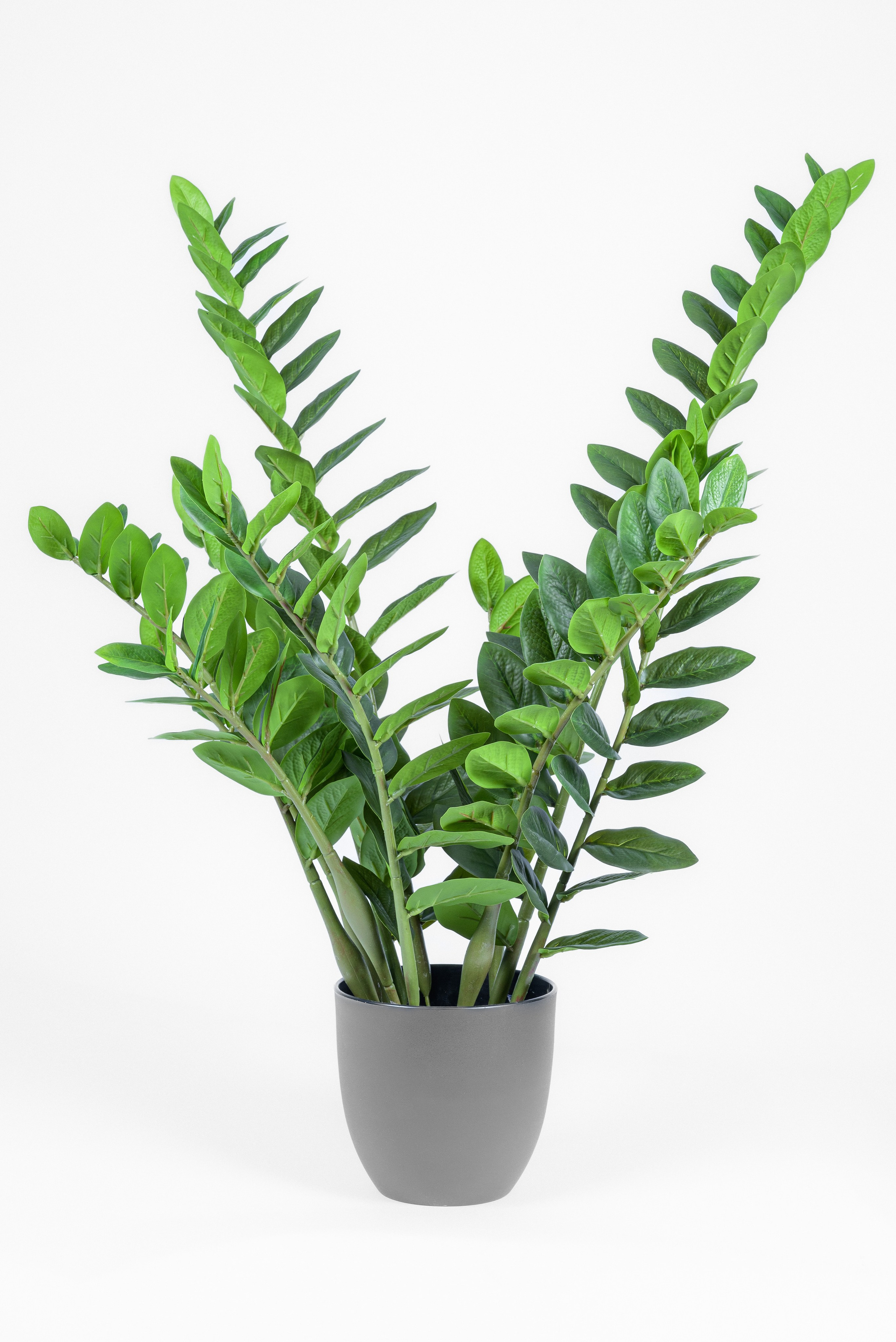 Для маркетплейсов и соцсетей. Портретный и предметный фотограф — Москва, Коломна, юго-восток Моск.обл