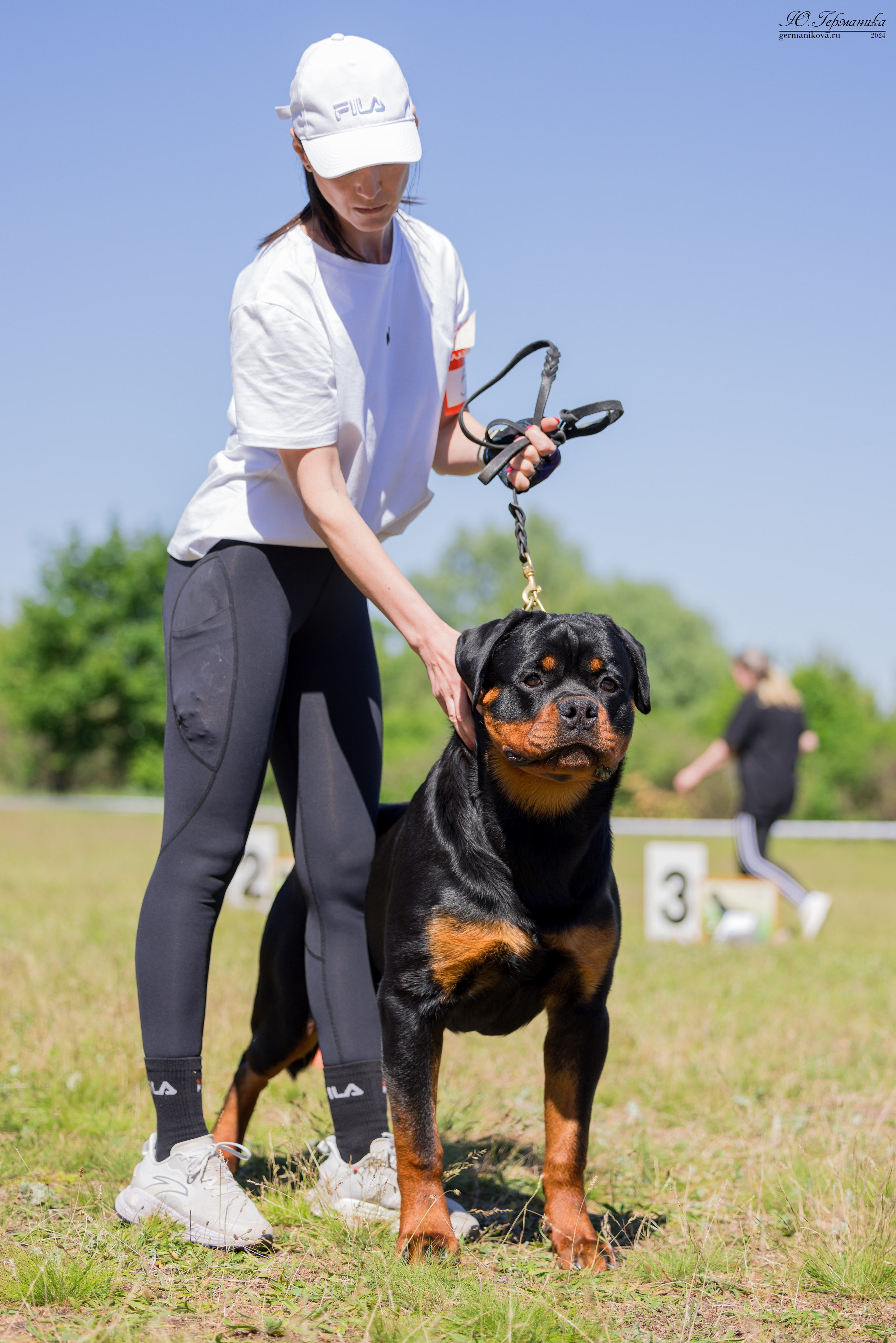 Воронеж моно ротвейлеров 25-26.05.2024. Фотограф-анималист Юлия Германика
