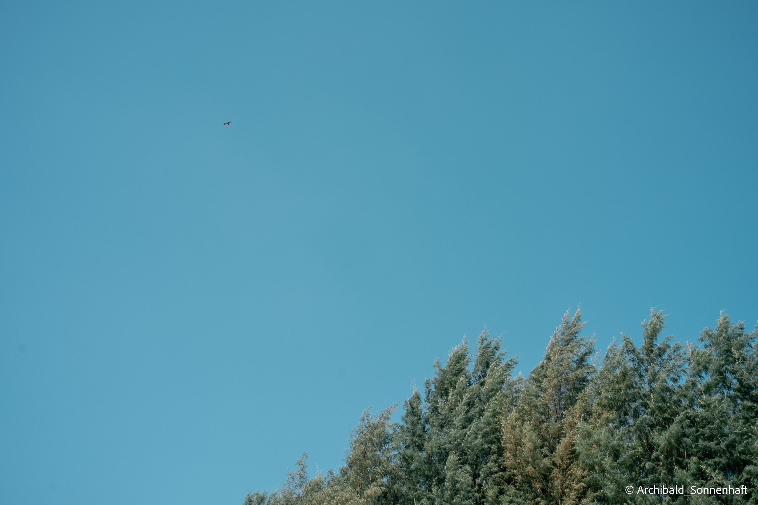 Couple of days in Thai. Photographer in Guangzhou, China. Archibald Sonnenhaft