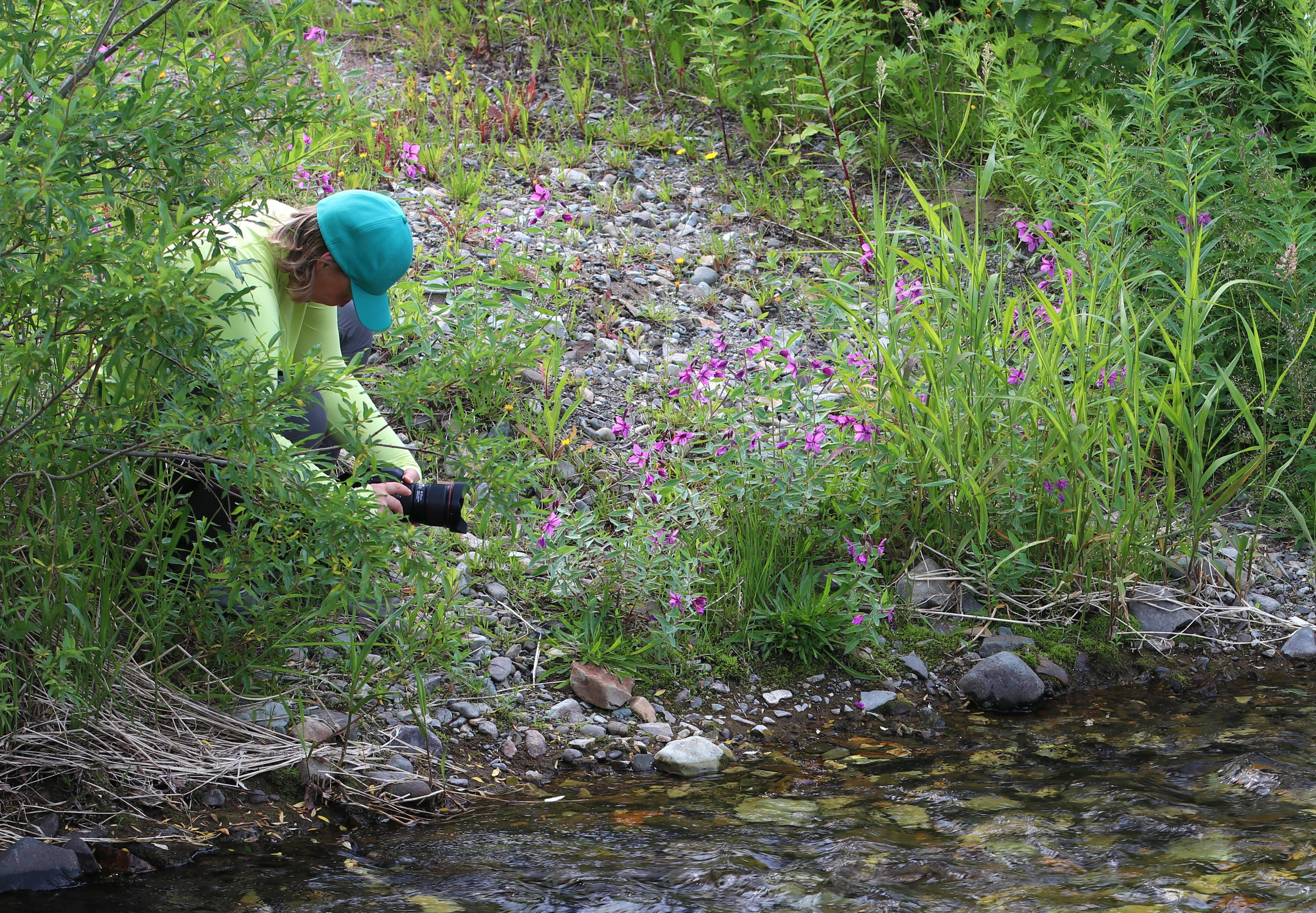 Камчатка и о. Парамушир. Июль 2024. Путешественник-фотограф из Санкт-Петербурга Татьяна Свистулина