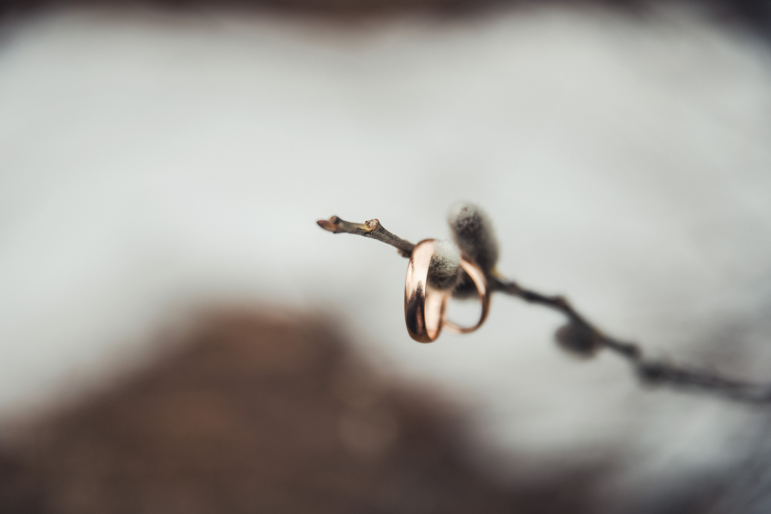 Данил и Ксения. Свадебные фотографы Nekipelov_photo