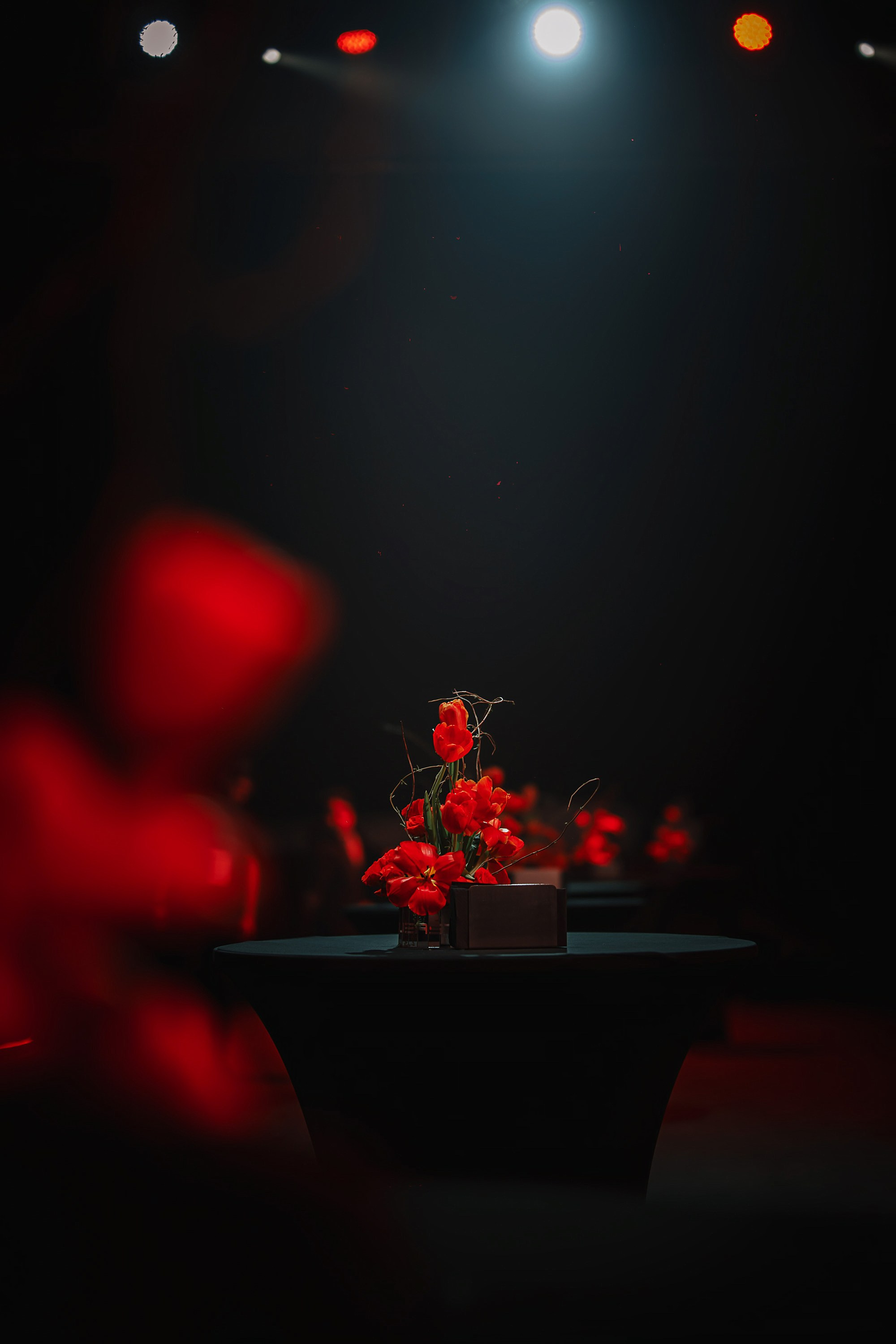 Презентация новых моделей SOUEAST. Фотограф TAULAN_1