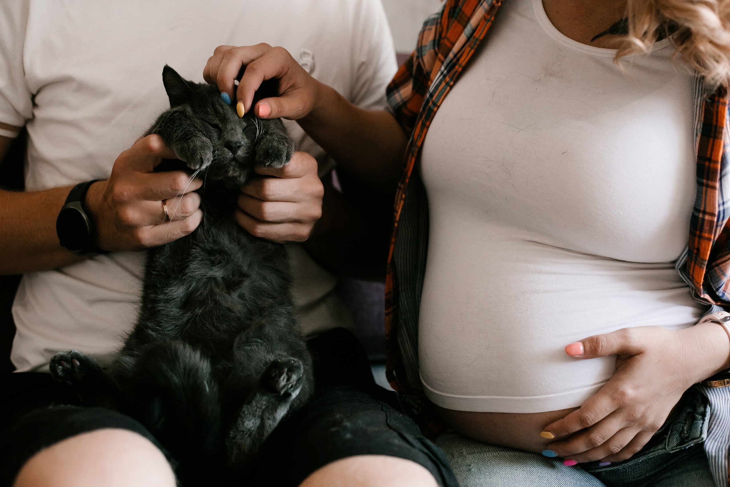 Дарья, Артем и котики все ждут. Свадебный, семейный и детский фотограф в г. Абакан респ. Хакасия Любов