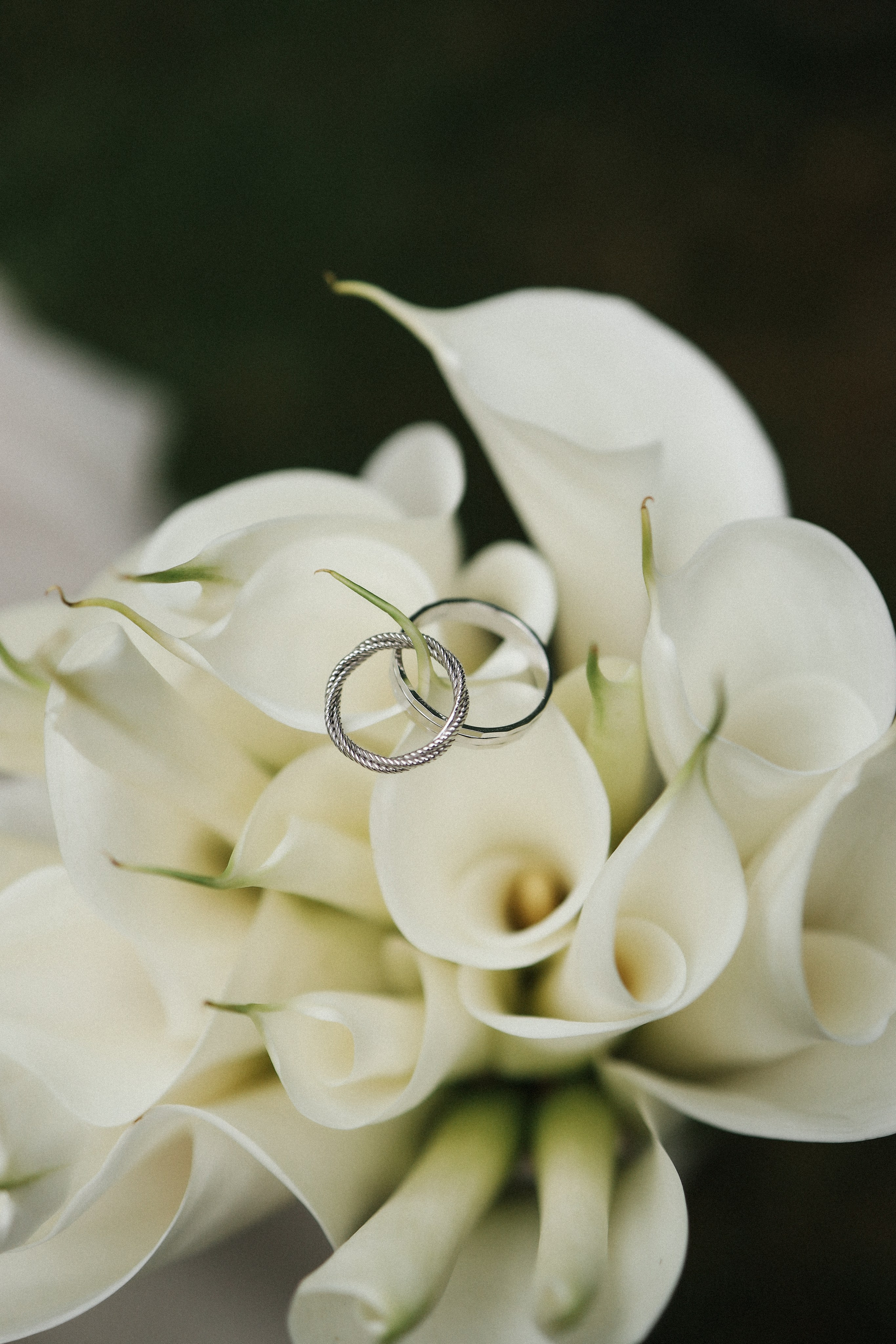 Е. + Н. Роспись в Усадьбе Зубовых, прогулка по набережной. Семейный и lovestory фотограф в Москве Светлана Коняхина