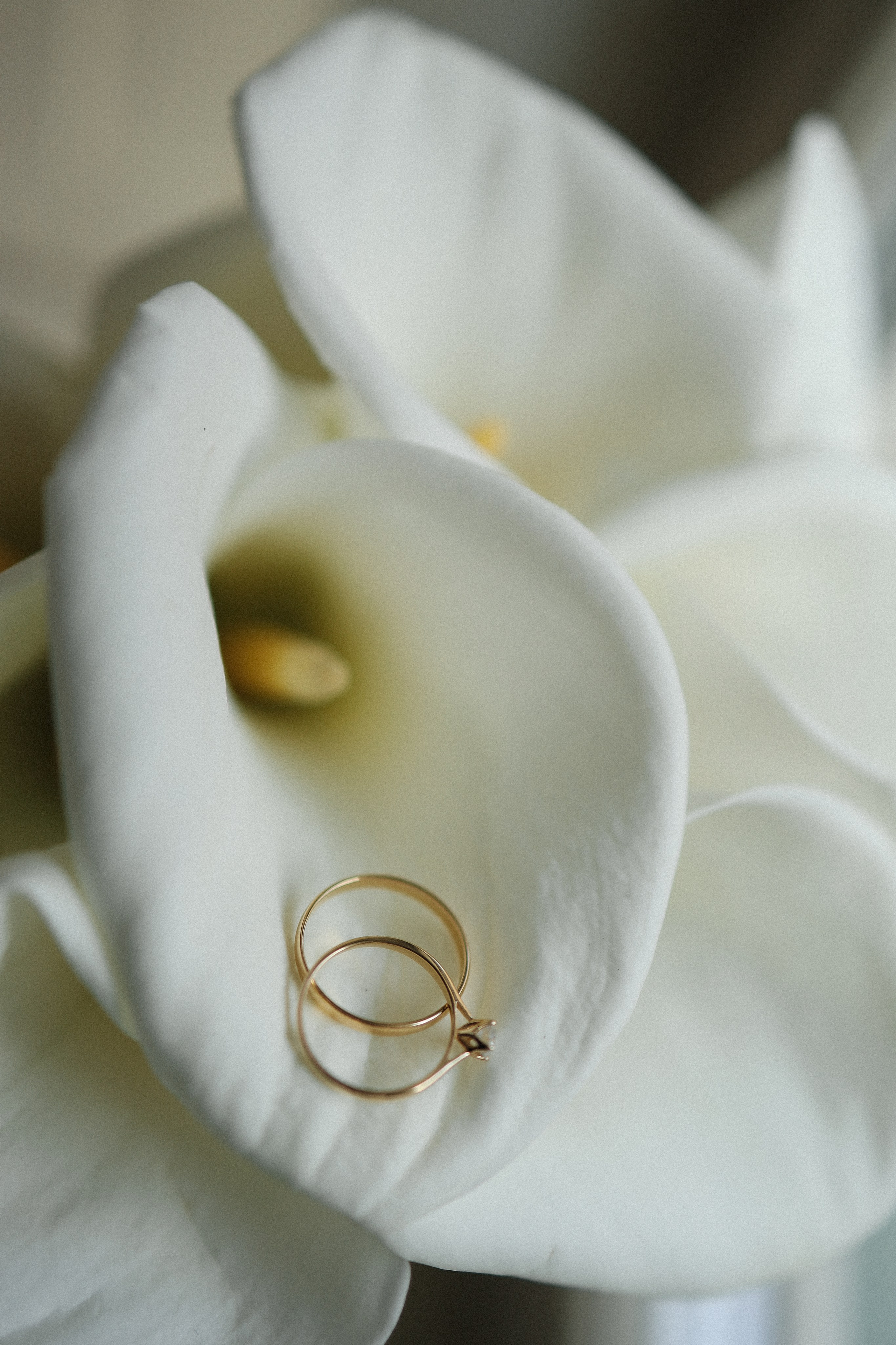 Е. + И. Усадьба Муравьевых-Апостолов. Семейный и lovestory фотограф в Москве Светлана Коняхина