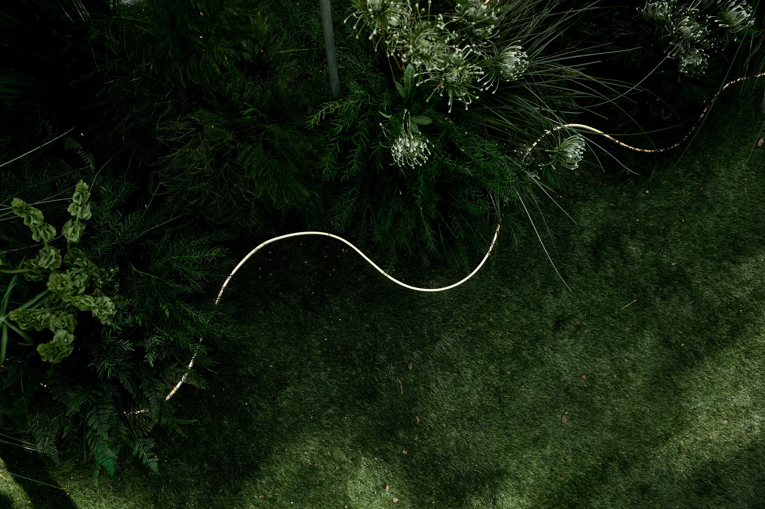 ORGANIKA. Дмитрий Мазуркевич: Профессиональный Репортажный Фотограф