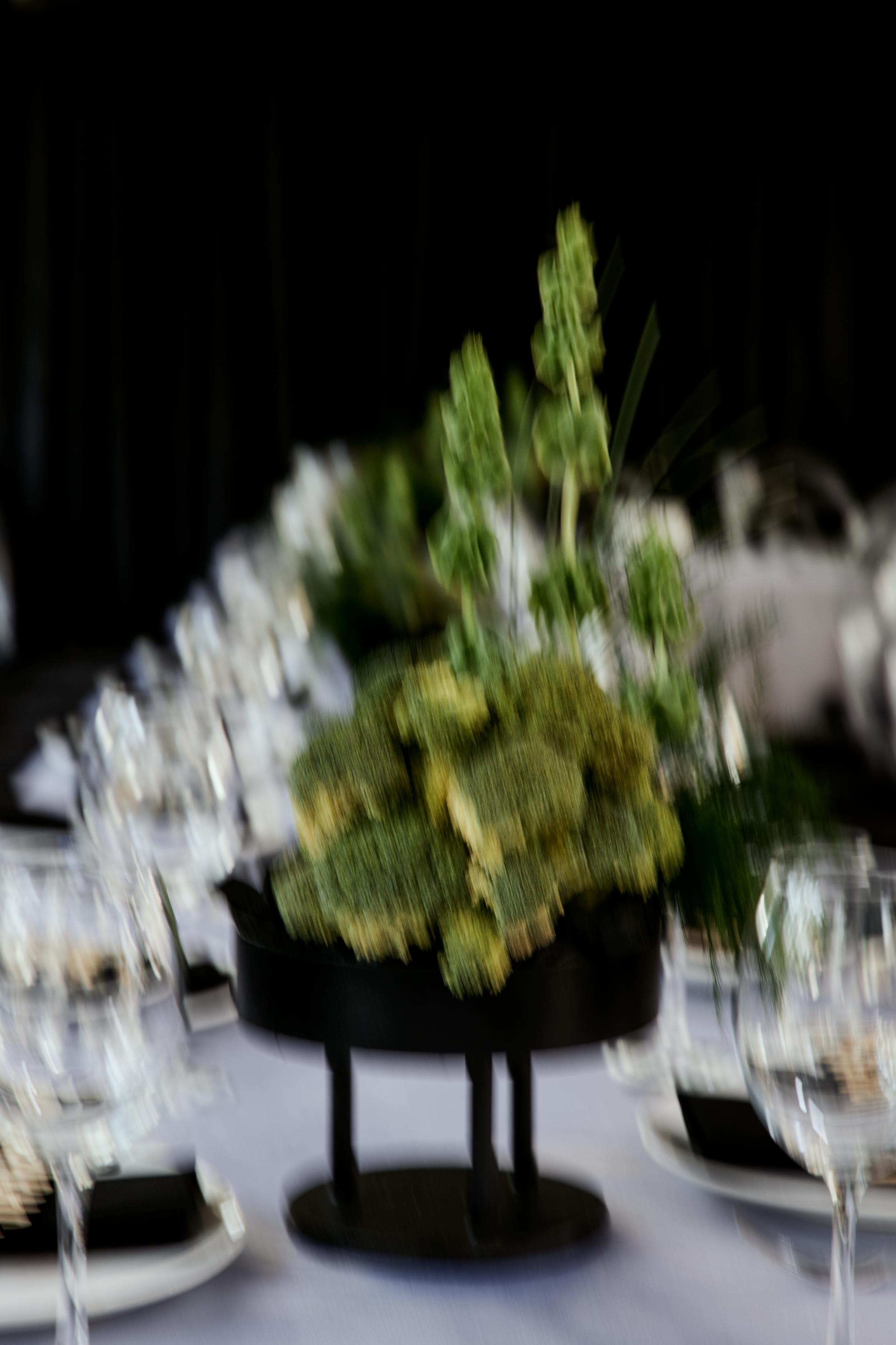 ORGANIKA. Дмитрий Мазуркевич: Профессиональный Репортажный Фотограф