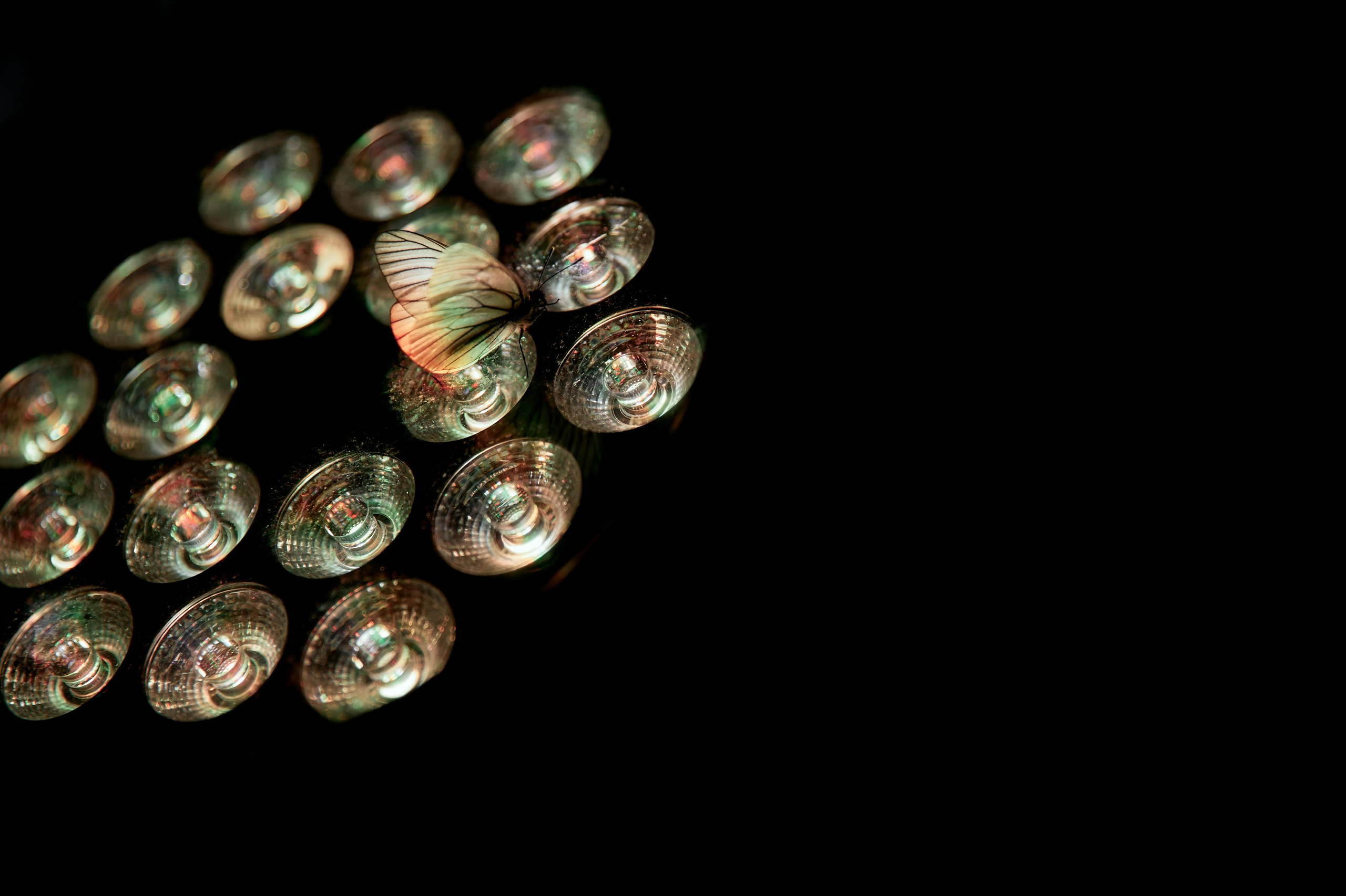 ORGANIKA. Дмитрий Мазуркевич: Профессиональный Репортажный Фотограф