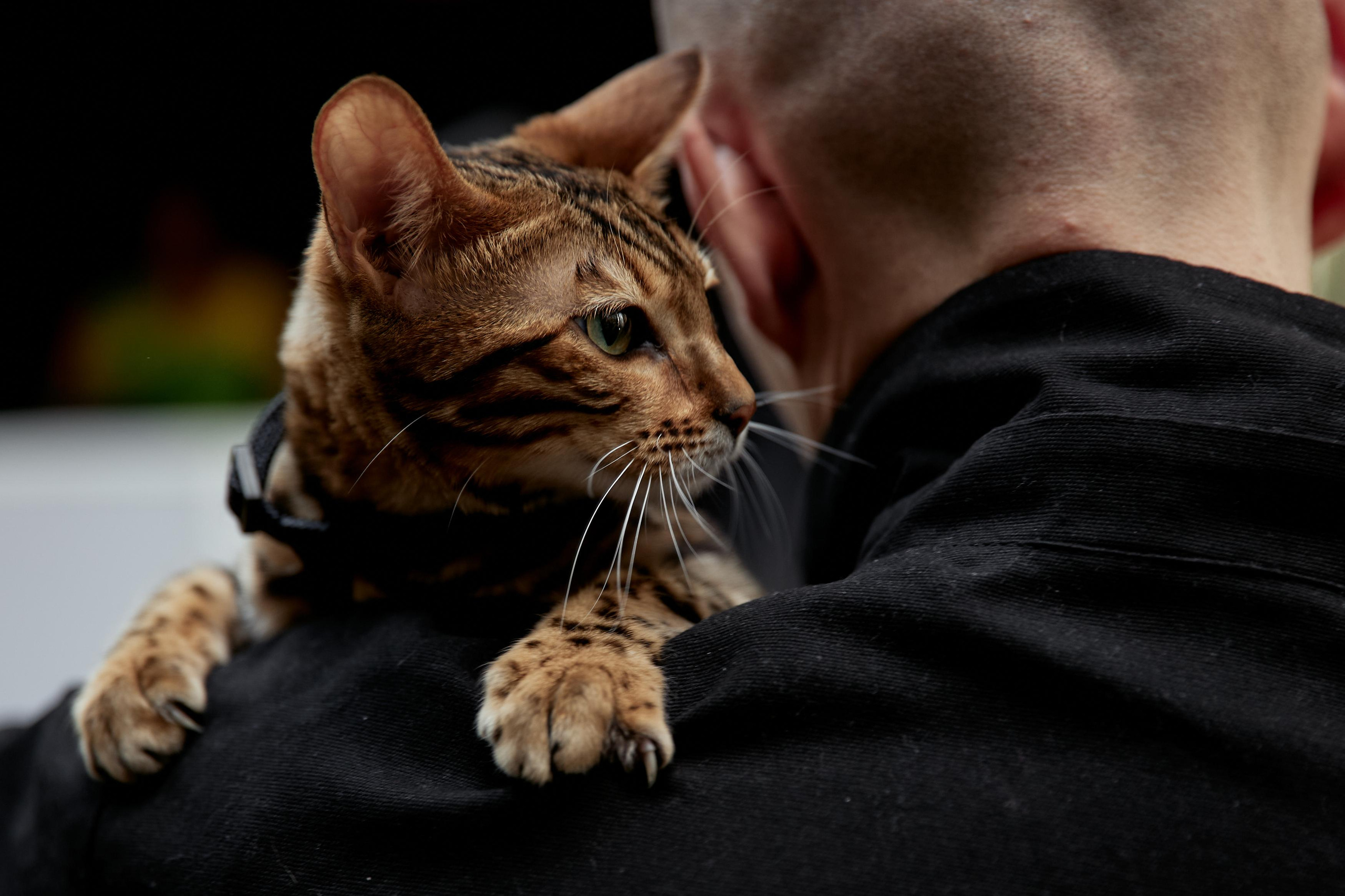 ORGANIKA. Дмитрий Мазуркевич: Профессиональный Репортажный Фотограф