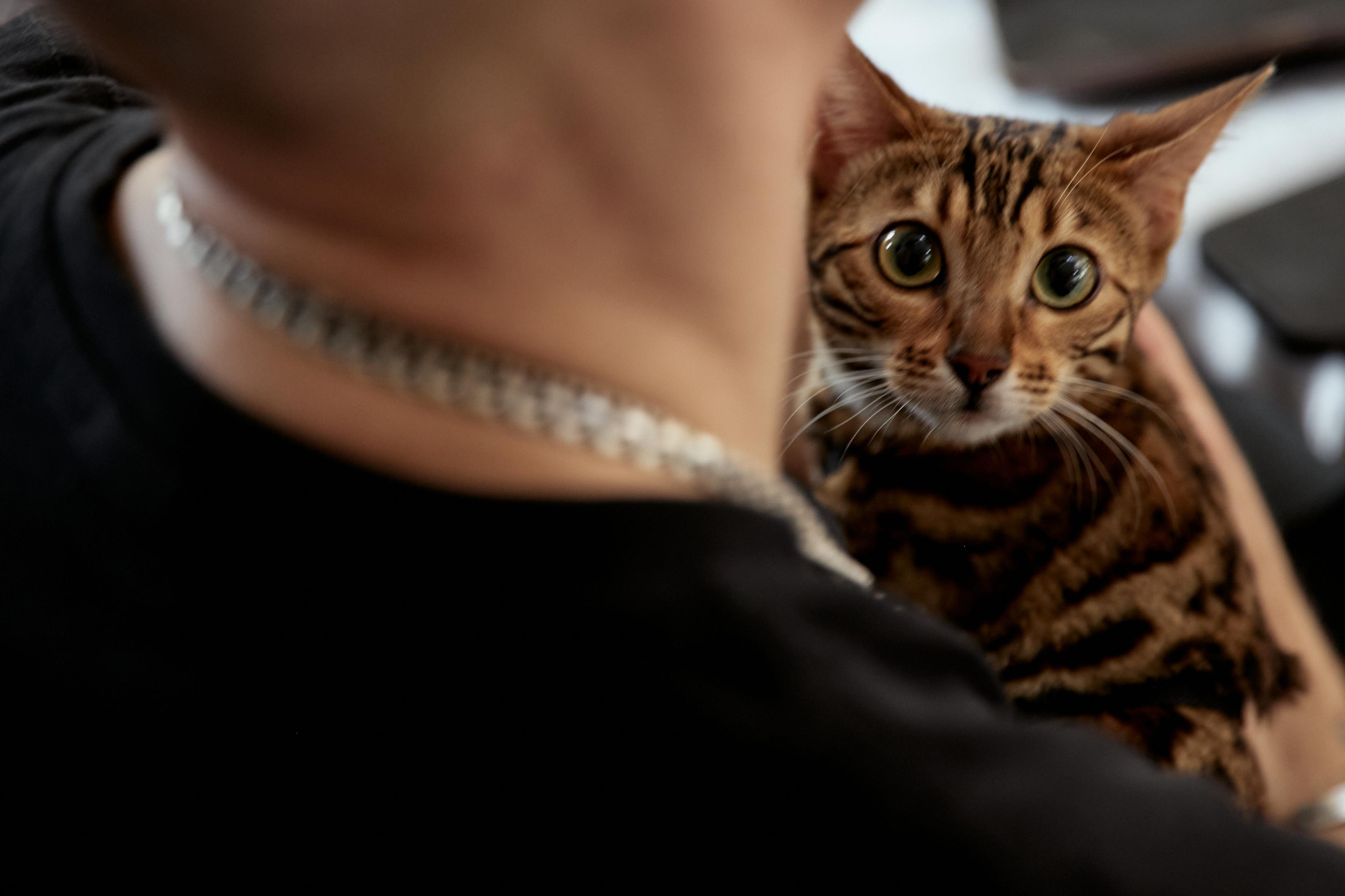 ORGANIKA. Дмитрий Мазуркевич: Профессиональный Репортажный Фотограф