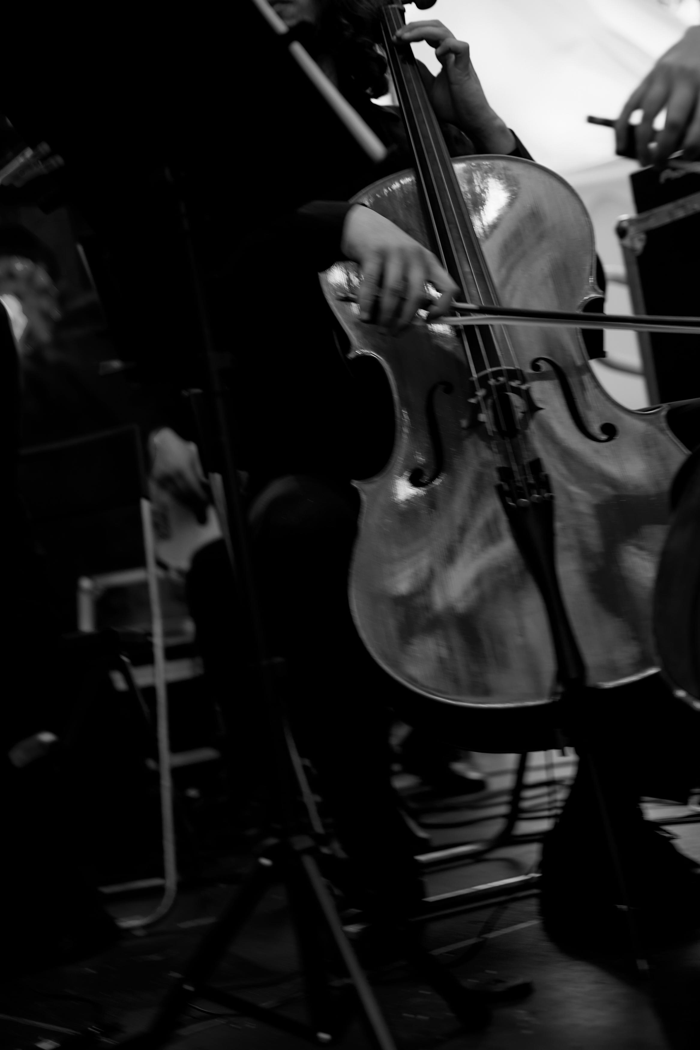 ORGANIKA. Дмитрий Мазуркевич: Профессиональный Репортажный Фотограф