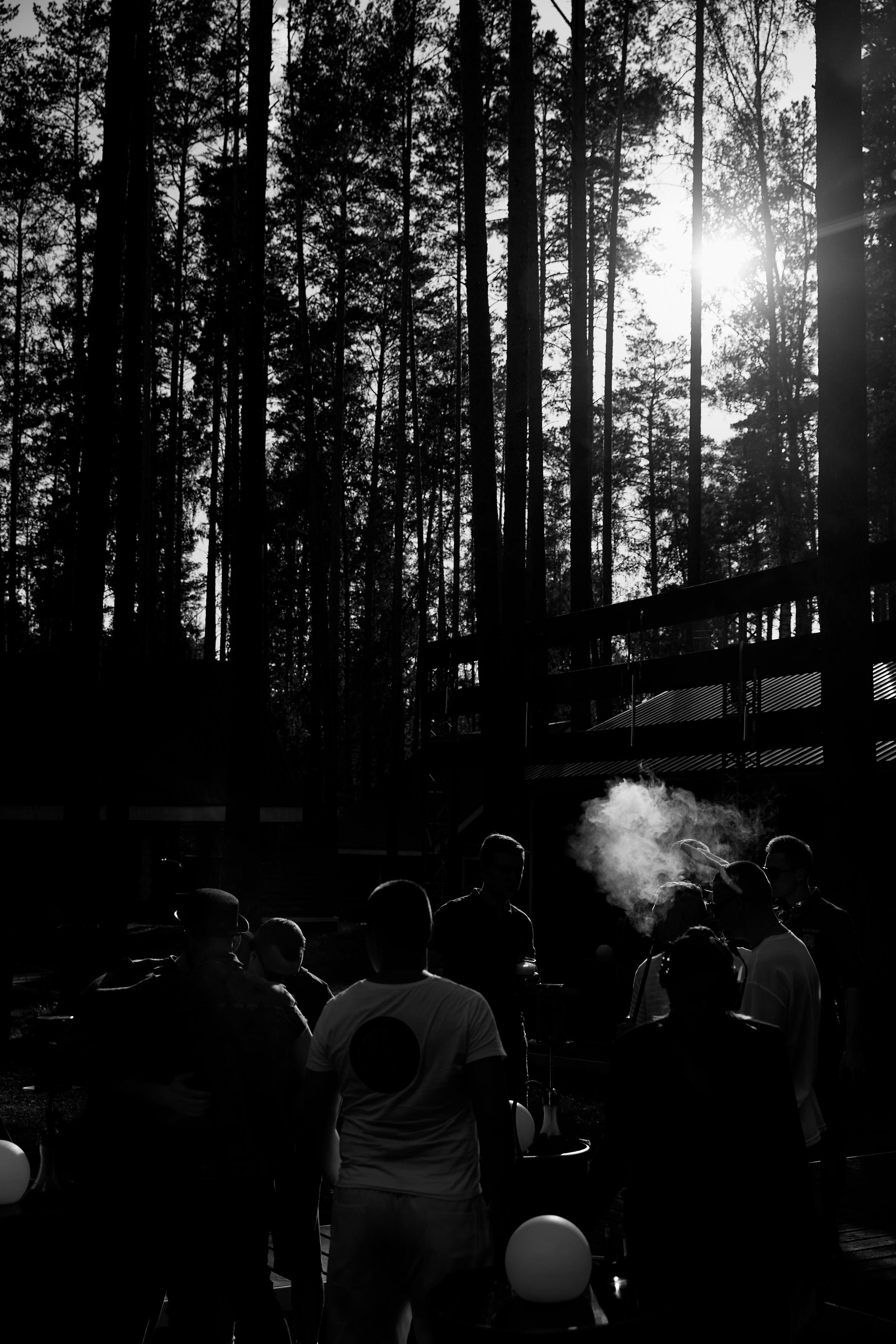 ORGANIKA. Дмитрий Мазуркевич: Профессиональный Репортажный Фотограф