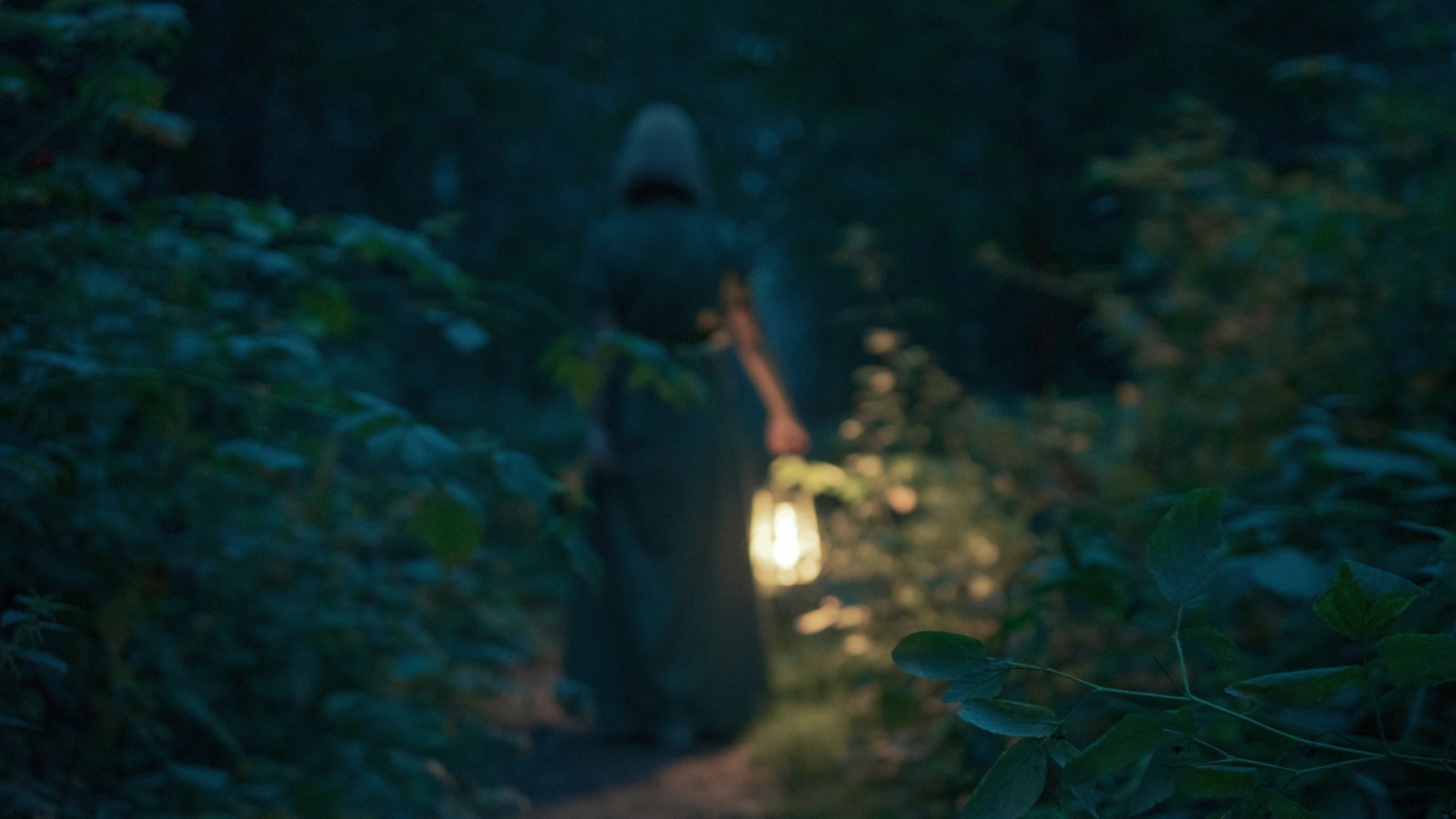 Творческая съёмка «Лес». Елена Берсенева, фотограф