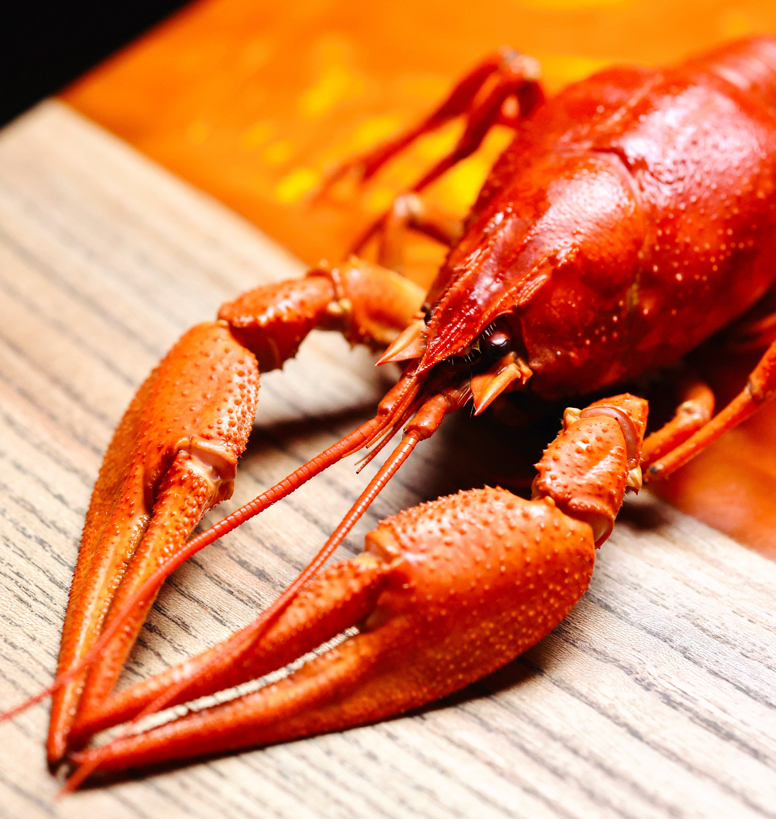 PHOTOGRAPHER. Фотограф Ростов-на-Дону Богатырева Анна