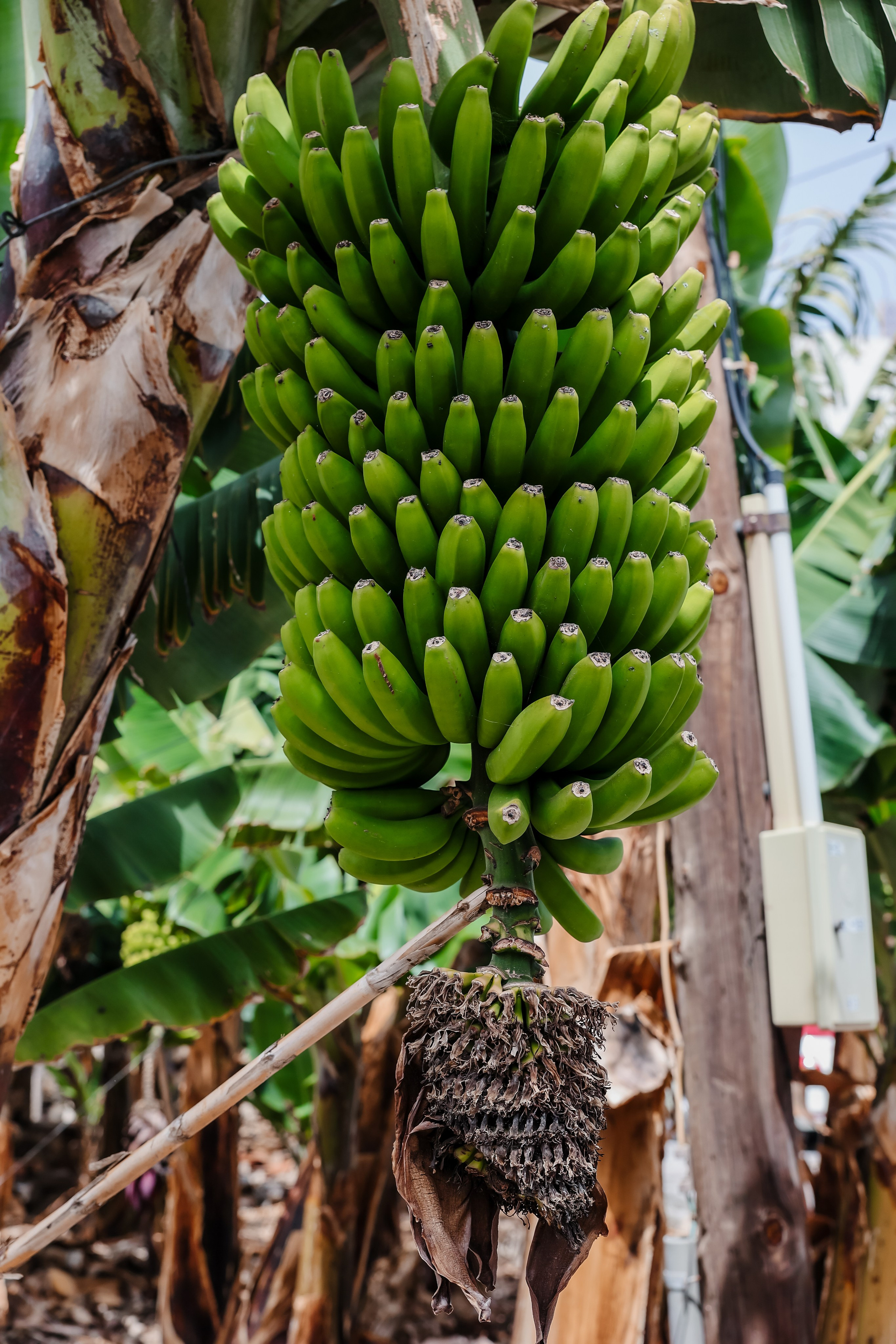 Casa Catuja. Фотограф Виктория Волкова. Москва