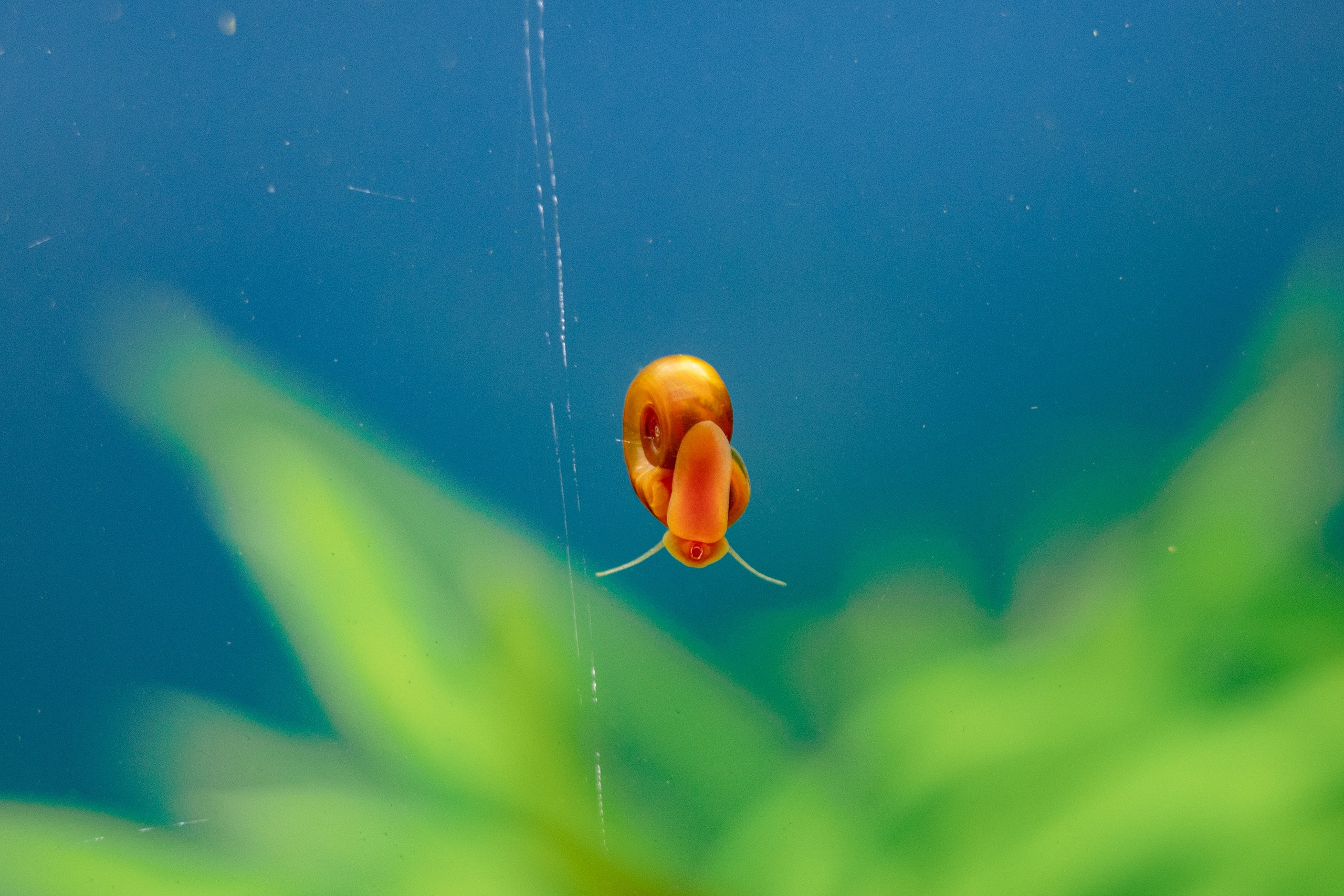 Московский зоопарк. Photographer Sonkina Tatiana (Tanya Ash)