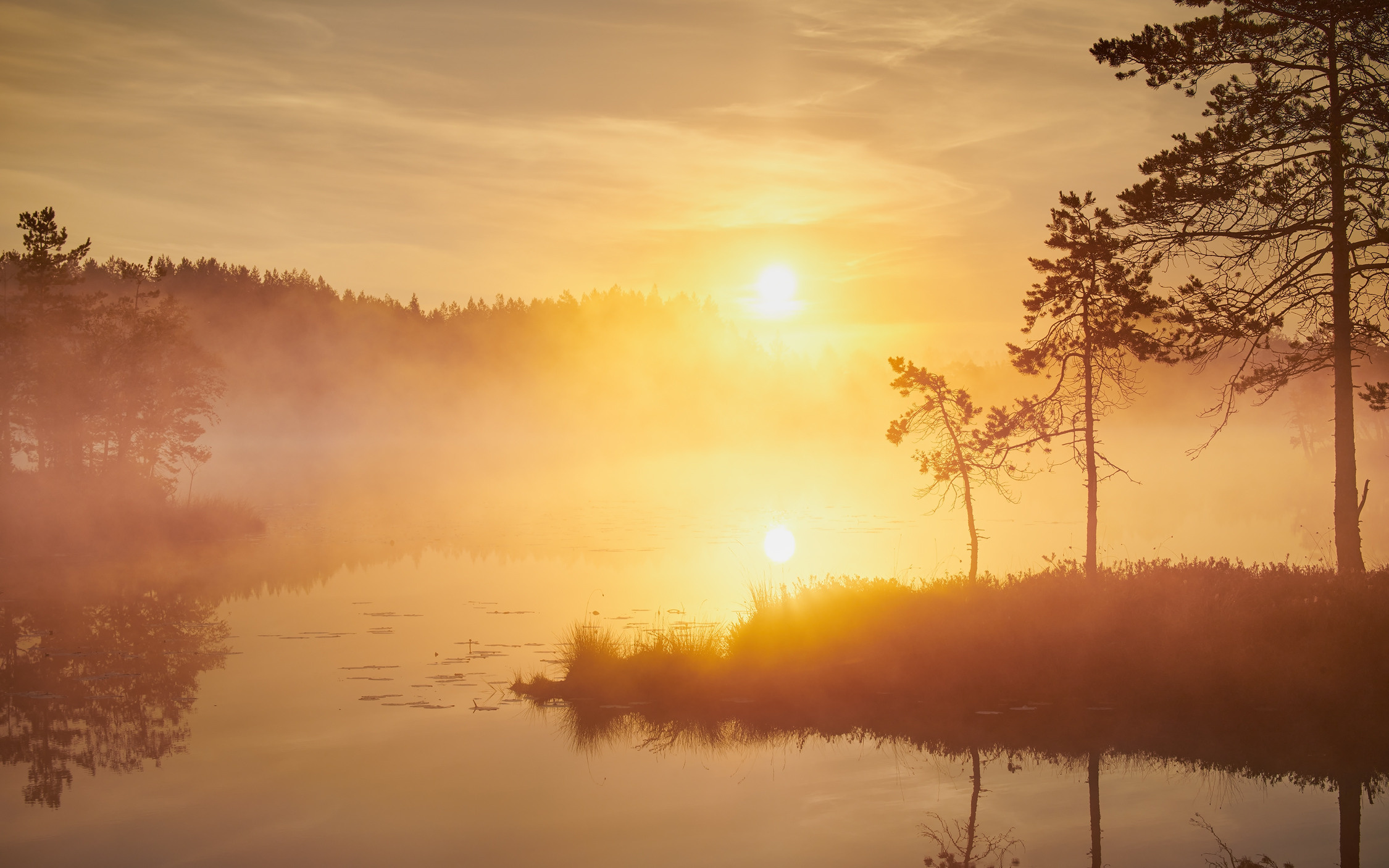 Озерно — болотные заповедники. Красота природы. Фотограф Кононов Антон