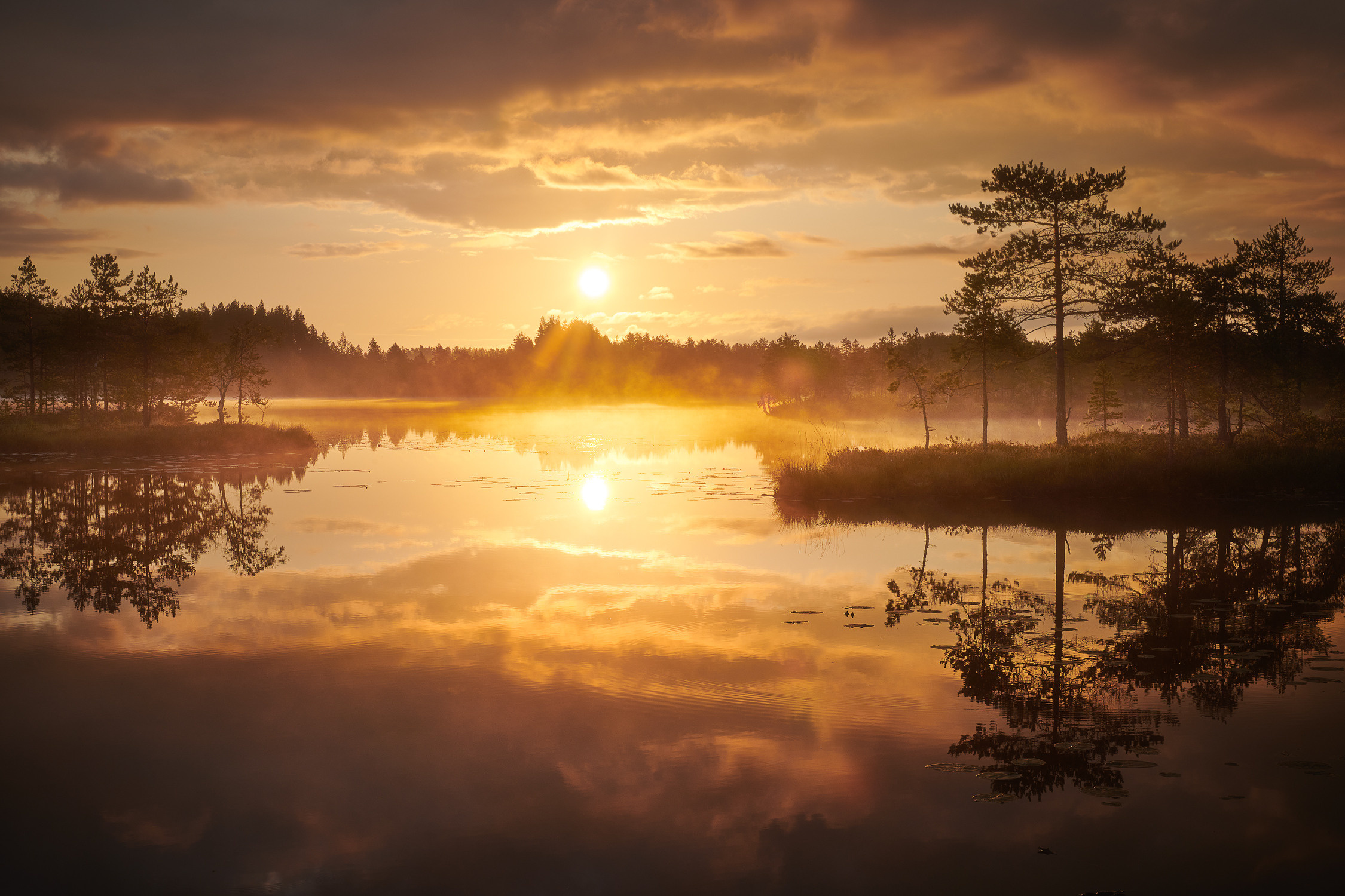 Озерно — болотные заповедники. Красота природы. Фотограф Кононов Антон