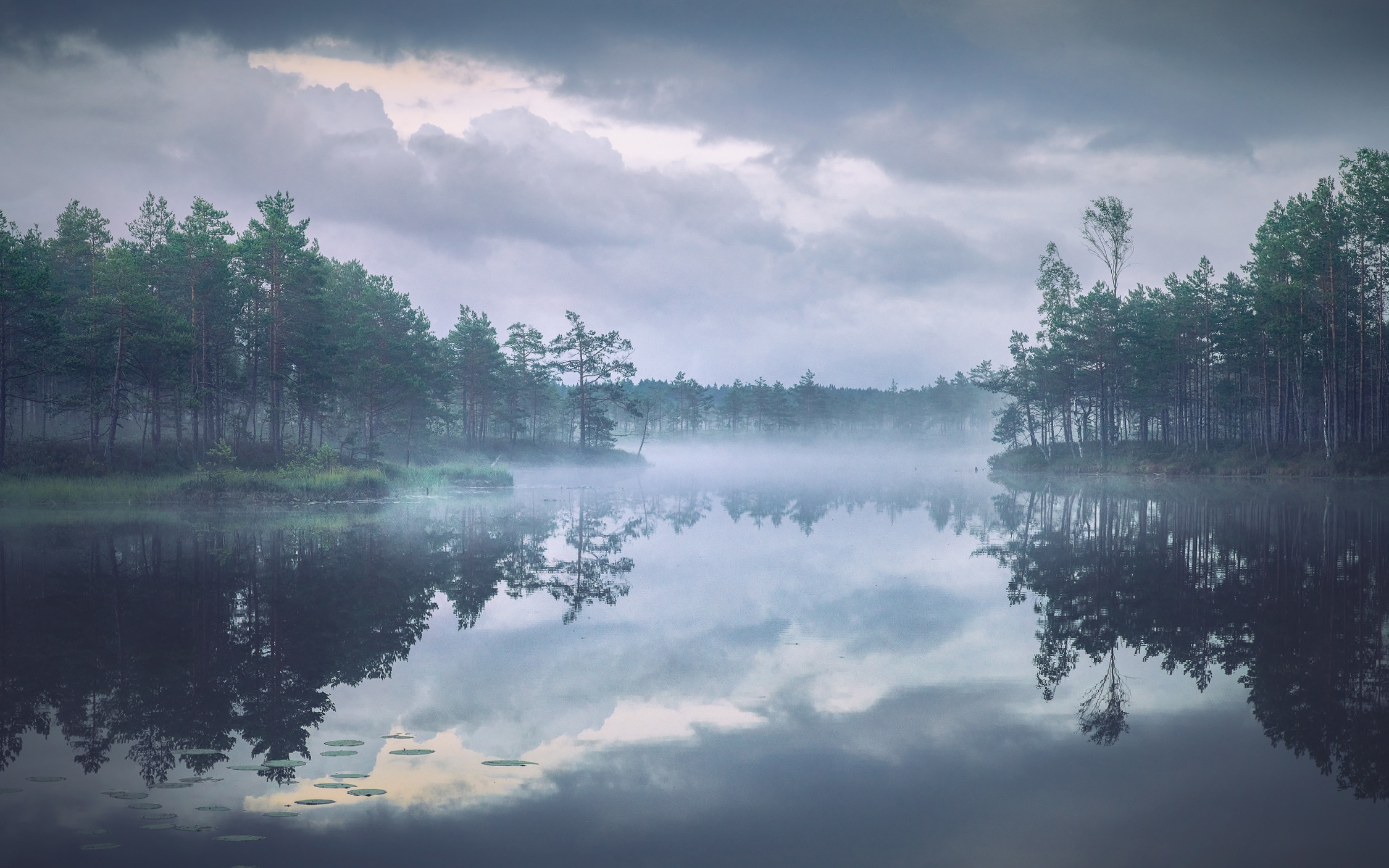 Озерно — болотные заповедники. Красота природы. Фотограф Кононов Антон