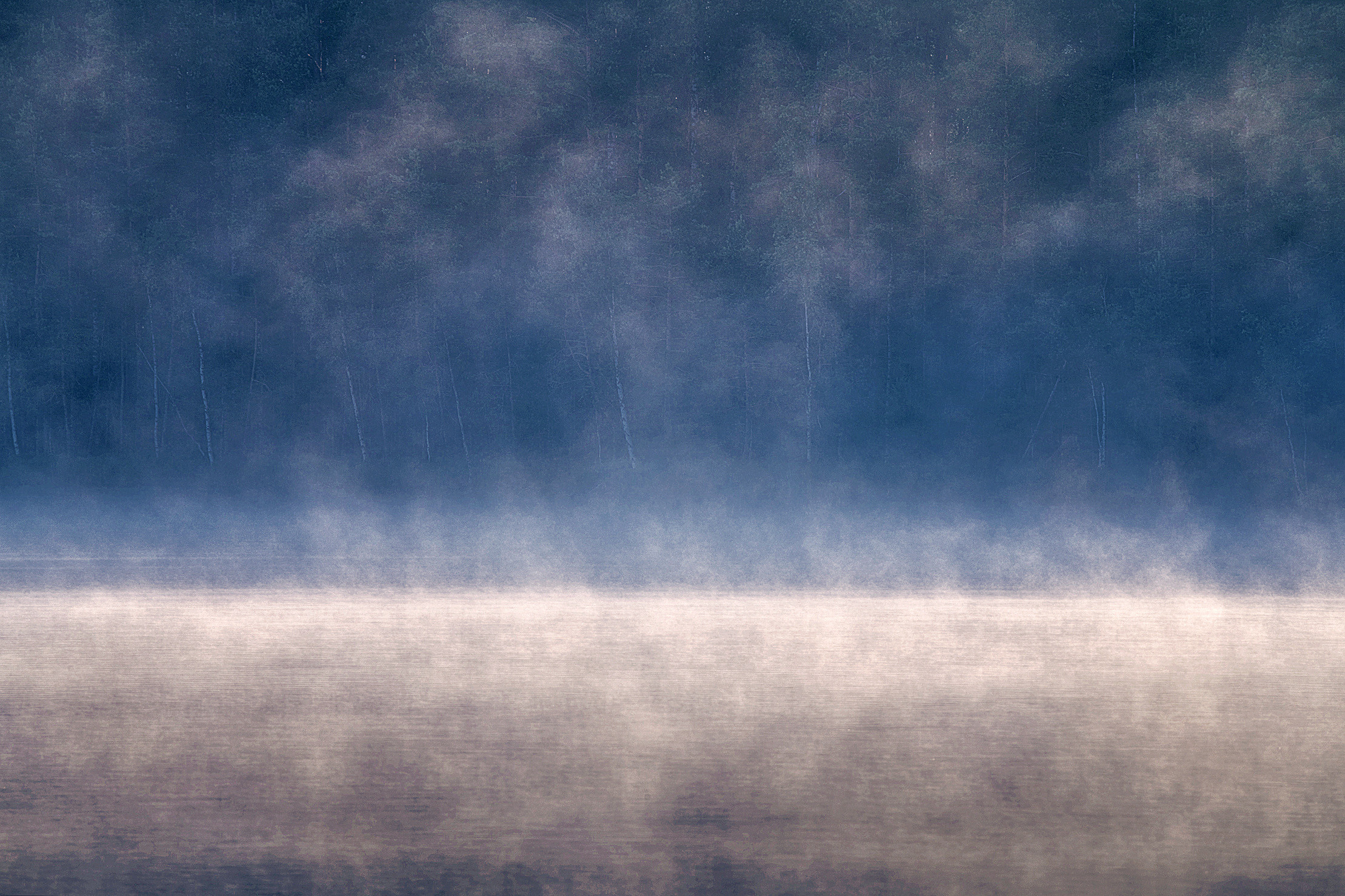 Озерно — болотные заповедники. Красота природы. Фотограф Кононов Антон