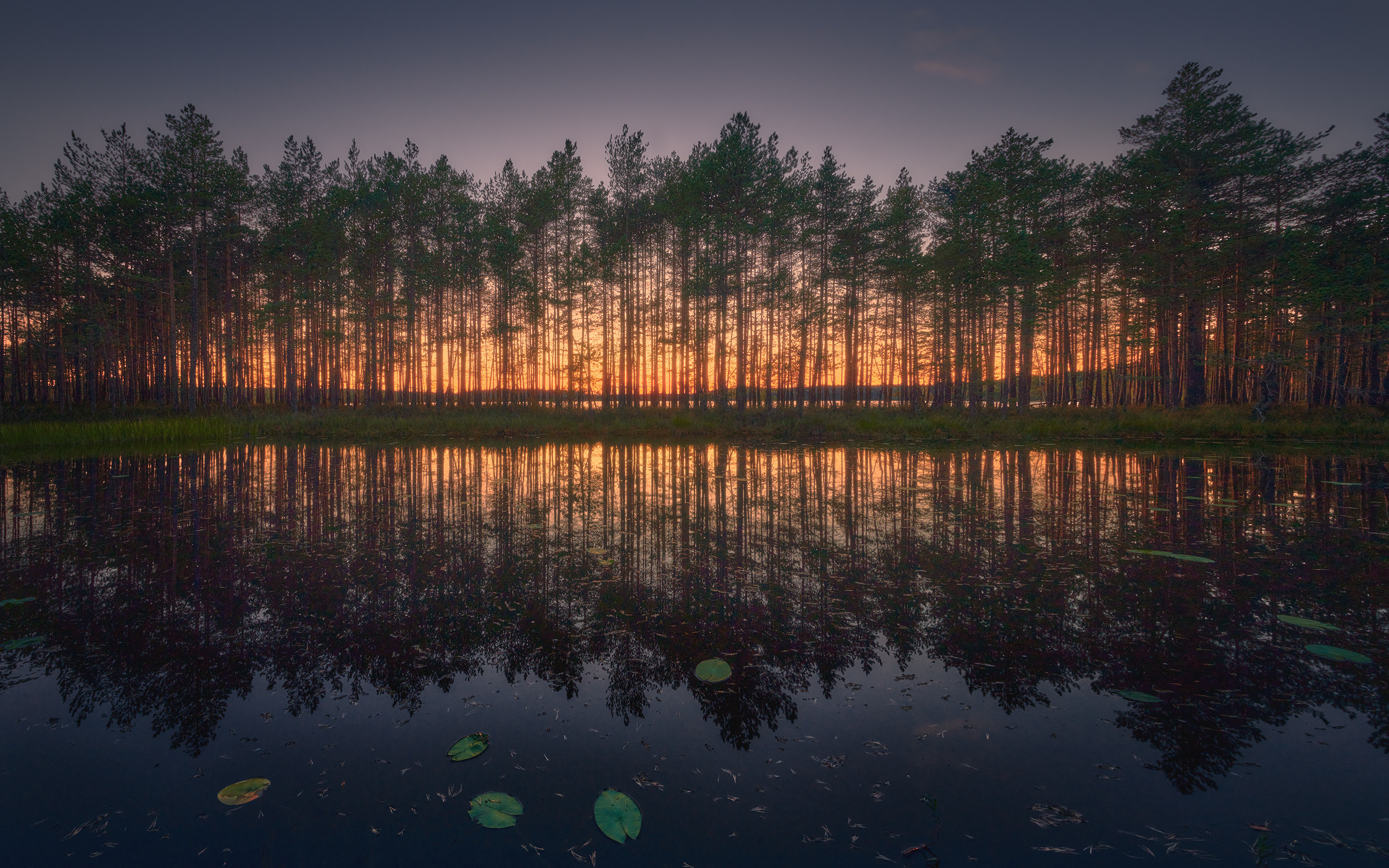 Озерно — болотные заповедники. Красота природы. Фотограф Кононов Антон