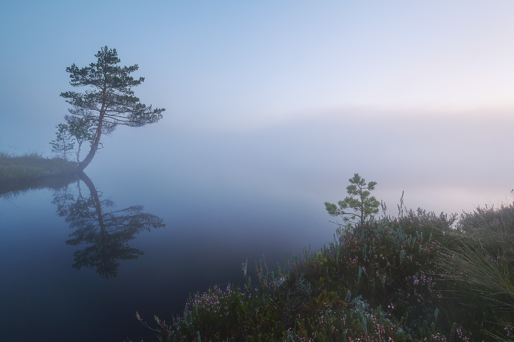 Озерно — болотные заповедники. Красота природы. Фотограф Кононов Антон