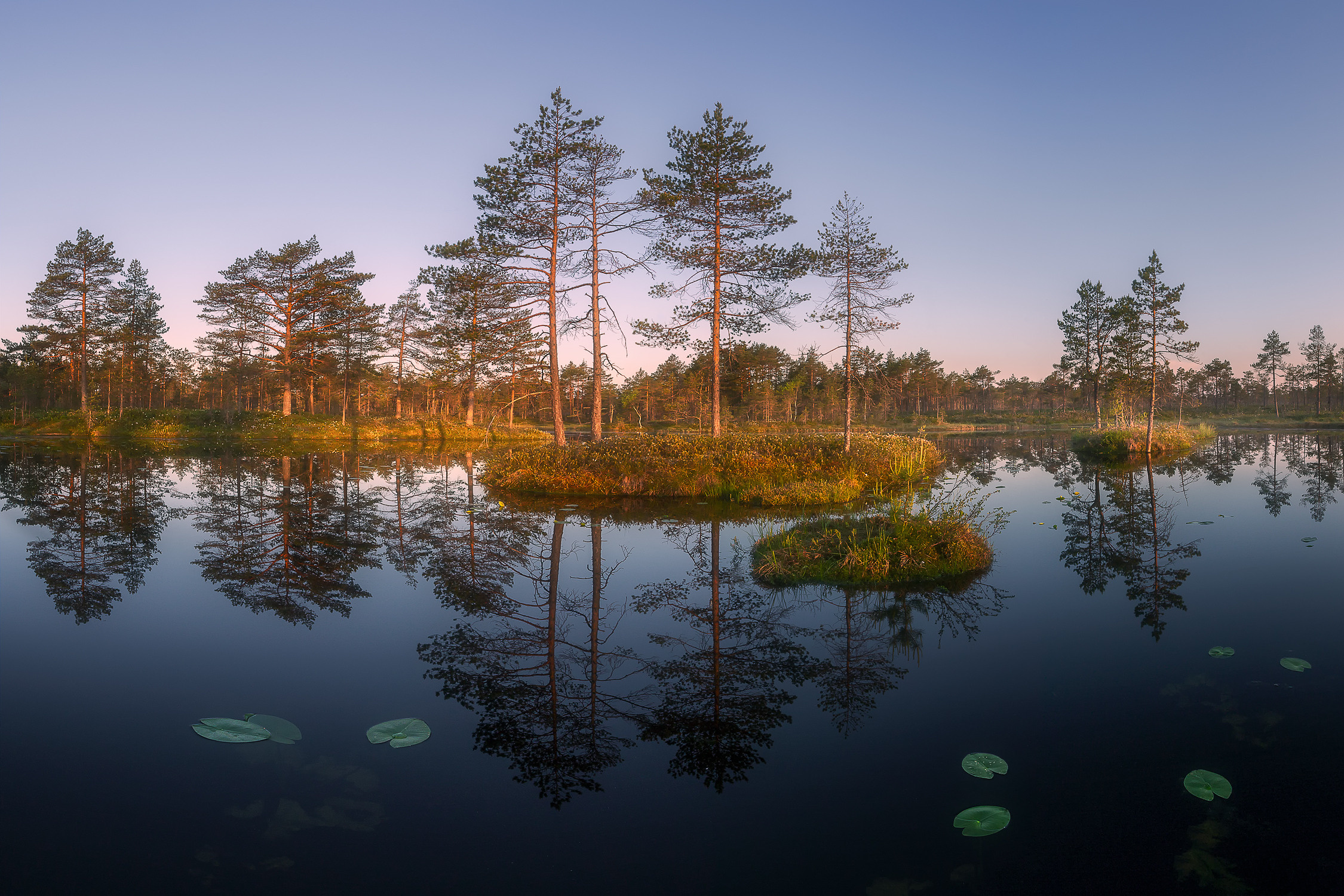 Озерно — болотные заповедники. Красота природы. Фотограф Кононов Антон