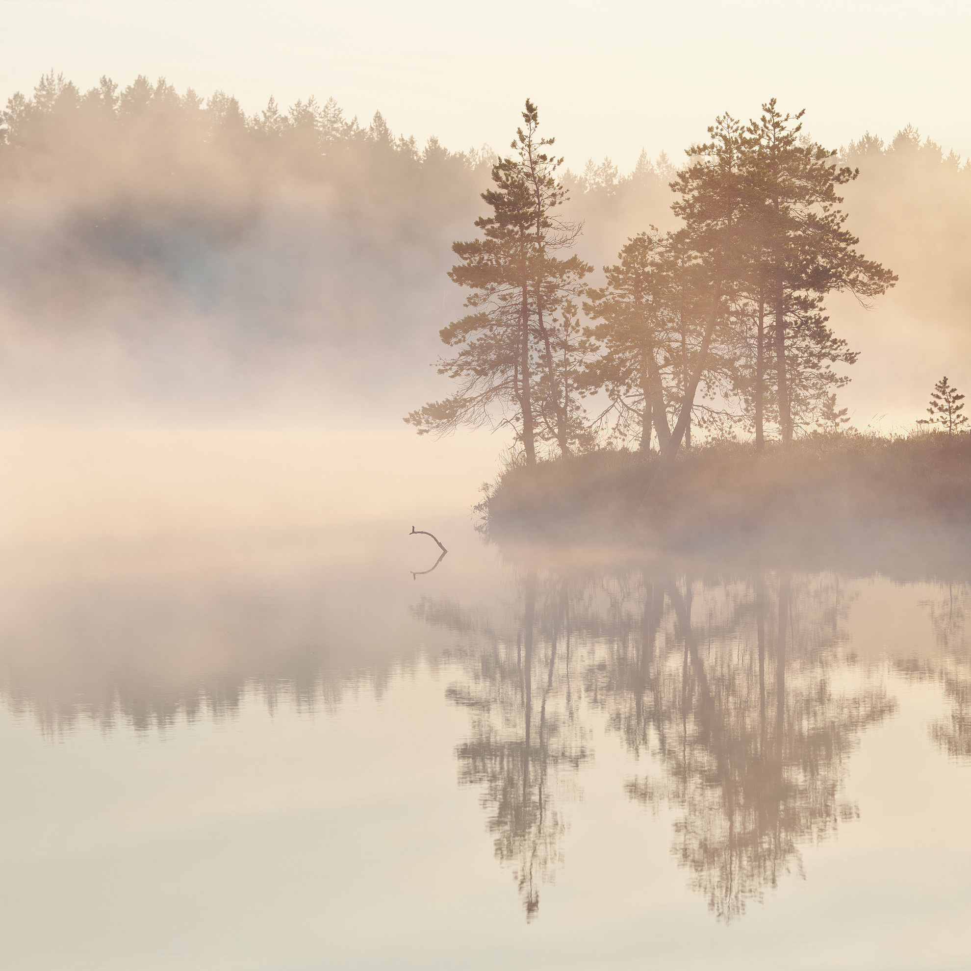 Озерно — болотные заповедники. Красота природы. Фотограф Кононов Антон