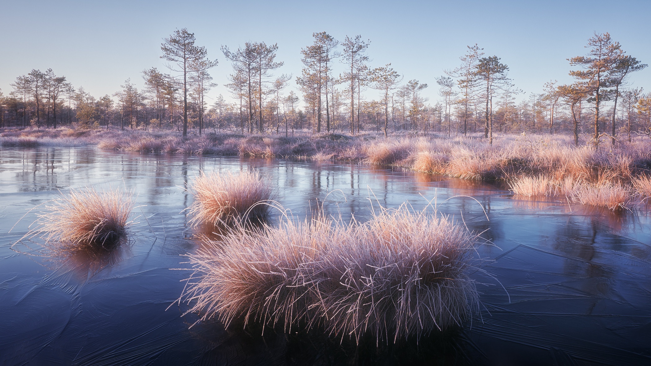Озерно — болотные заповедники. Красота природы. Фотограф Кононов Антон