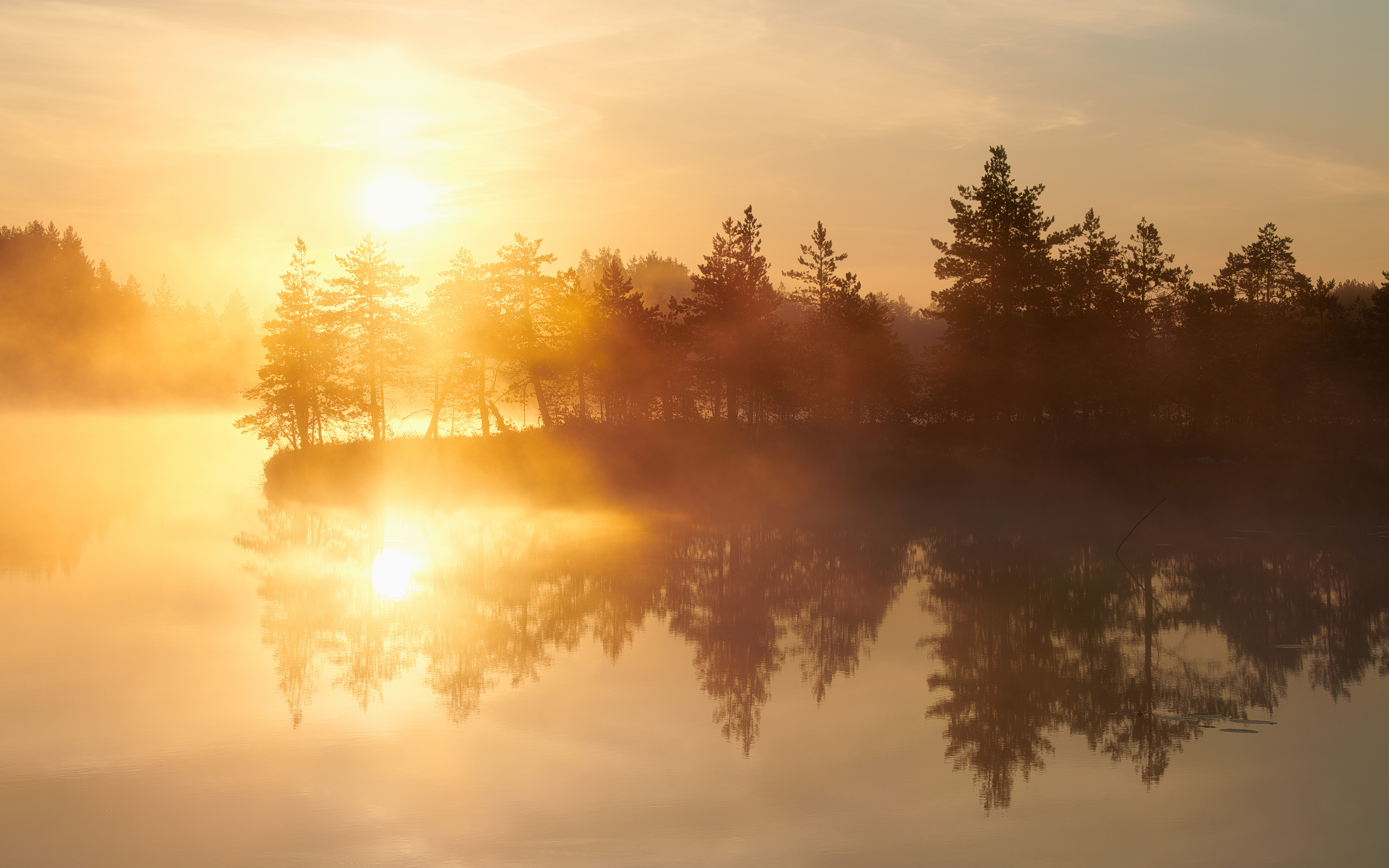 Озерно — болотные заповедники. Красота природы. Фотограф Кононов Антон