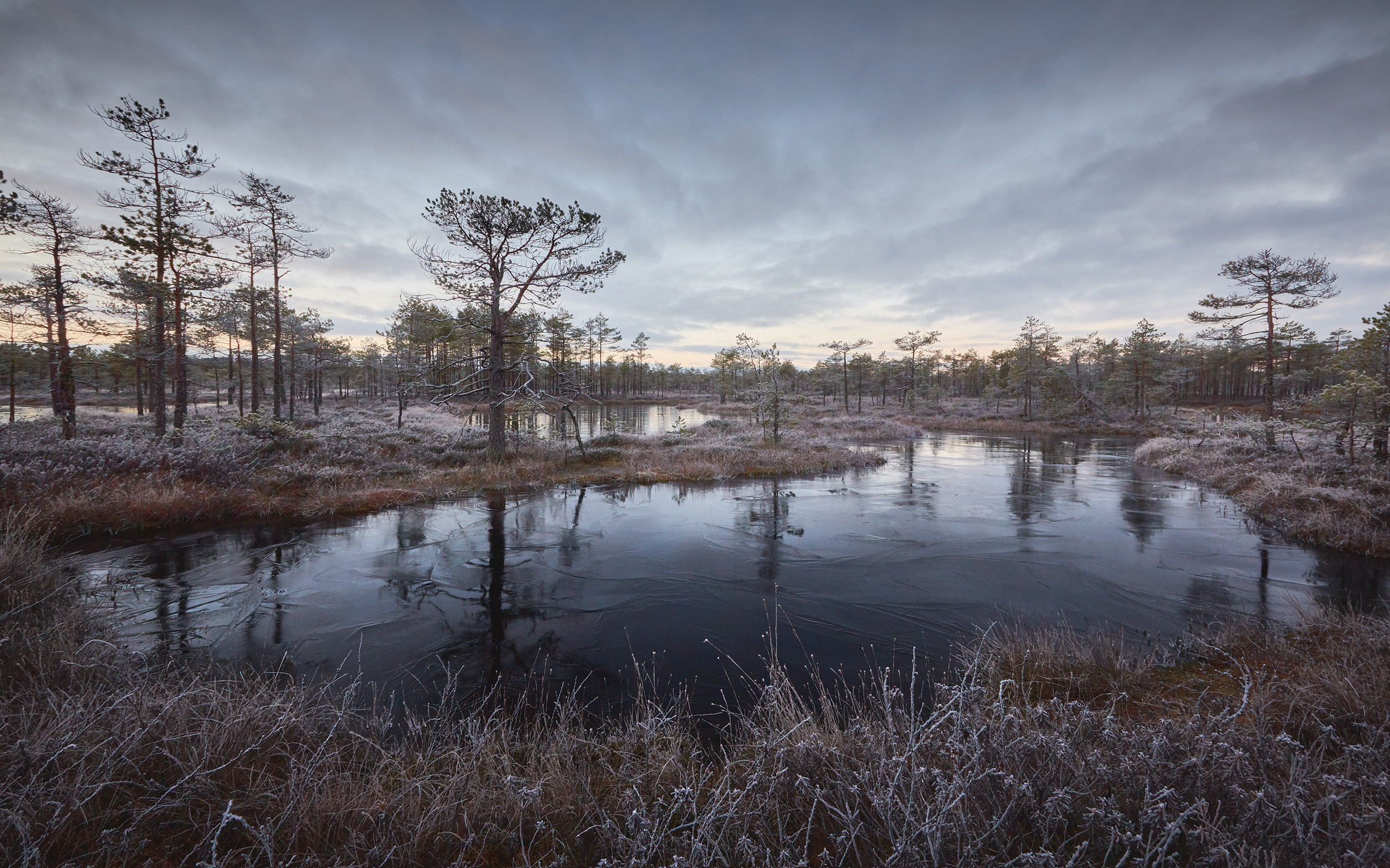 Озерно — болотные заповедники. Красота природы. Фотограф Кононов Антон