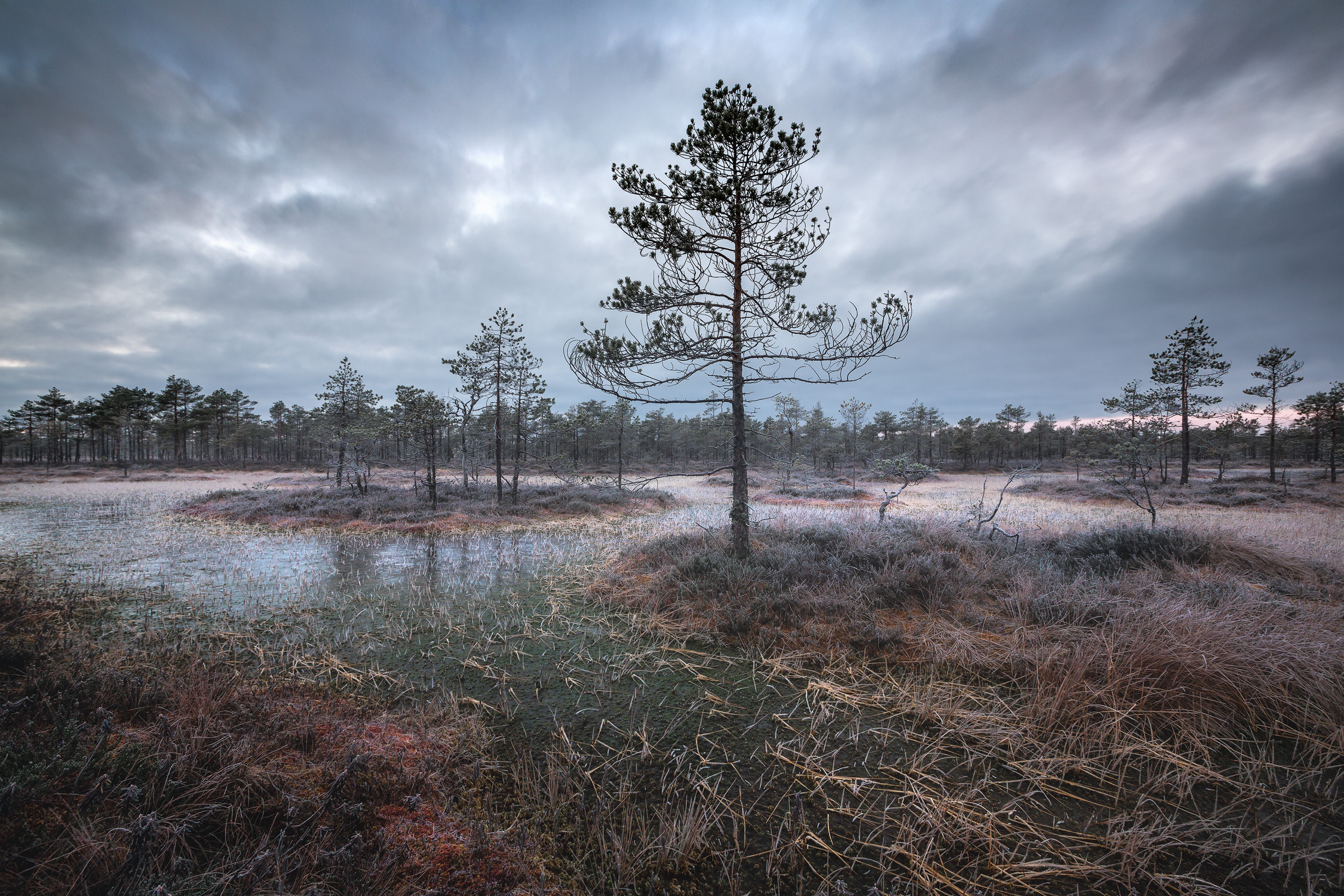 Озерно — болотные заповедники. Красота природы. Фотограф Кононов Антон