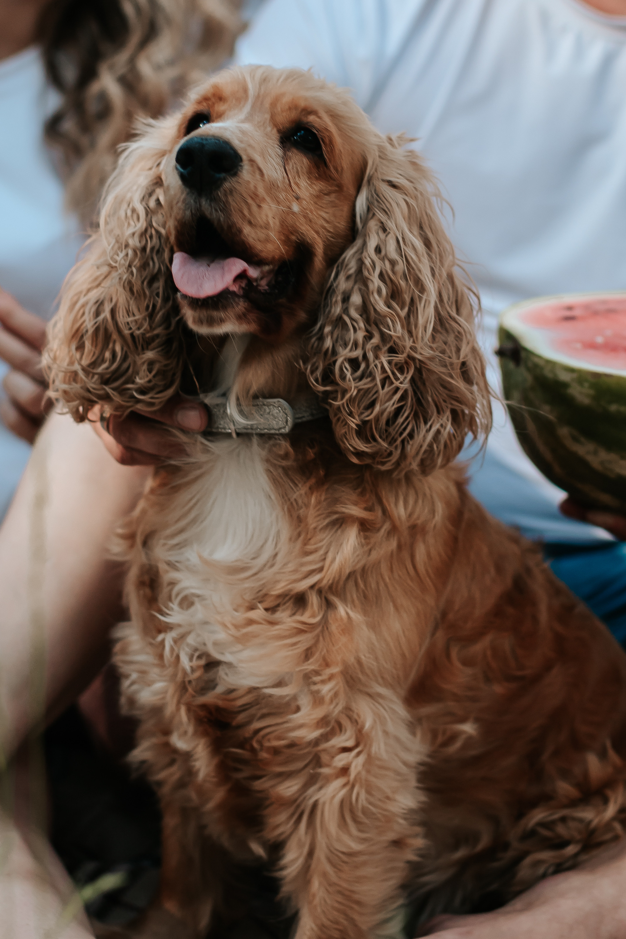 Женя, Алёна, Влад и Лера. Фотограф Arina Elatova