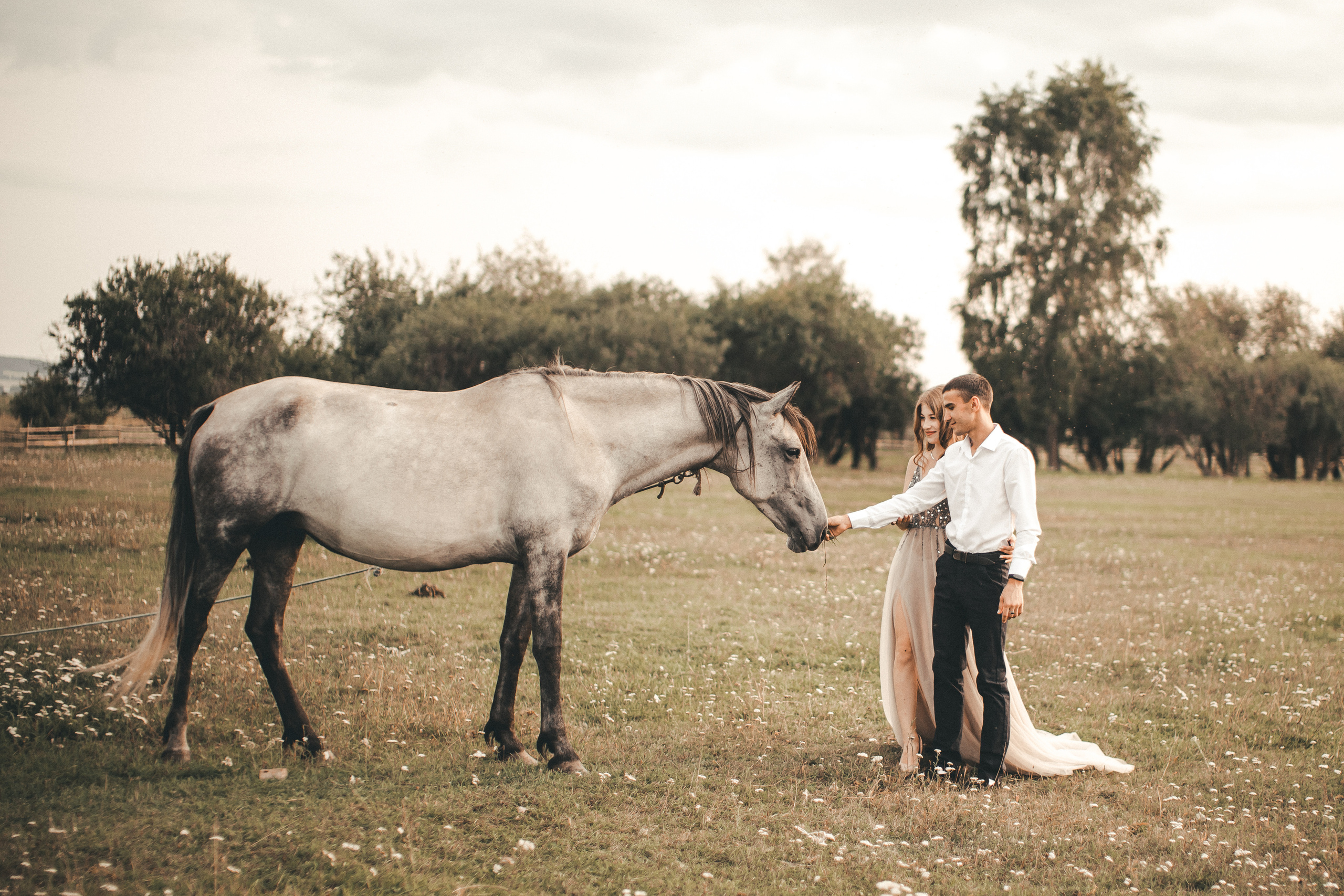 Алина&Семён. Фотограф Arina Elatova
