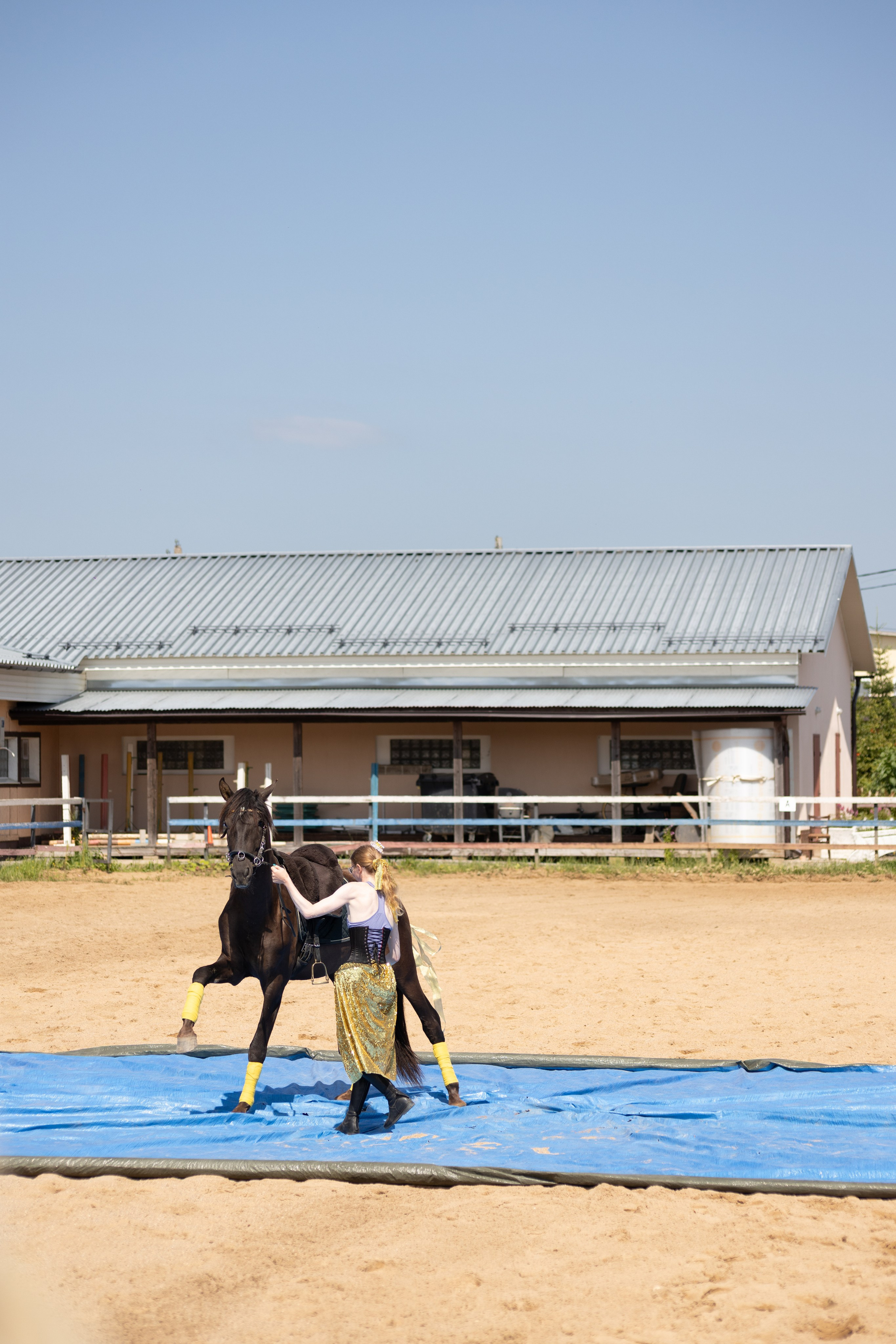 Конюшня. Фотограф в Москве и Истре