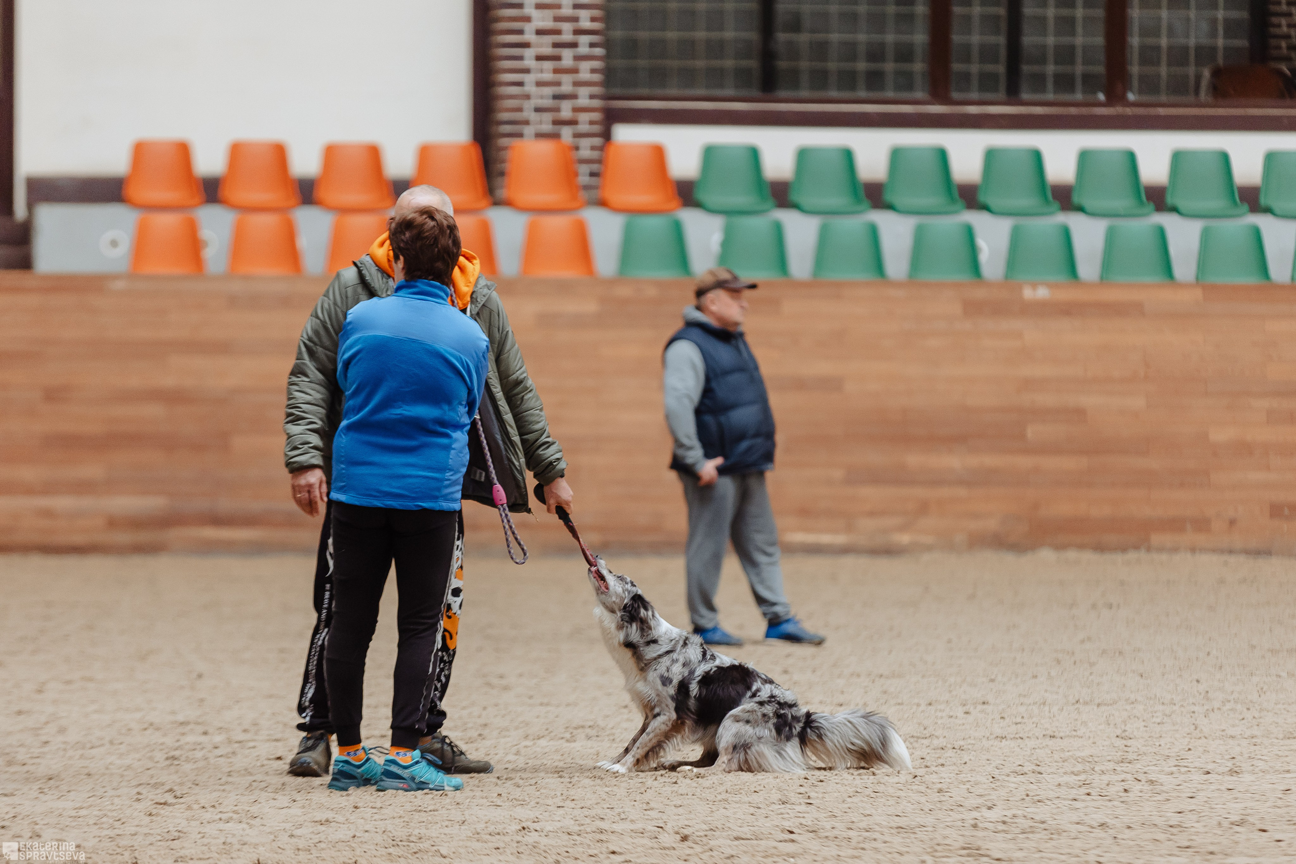 ЧРКФ Аджилити в Максима. Фотограф Анималист Екатерина Справцева в Нижнем Новгороде