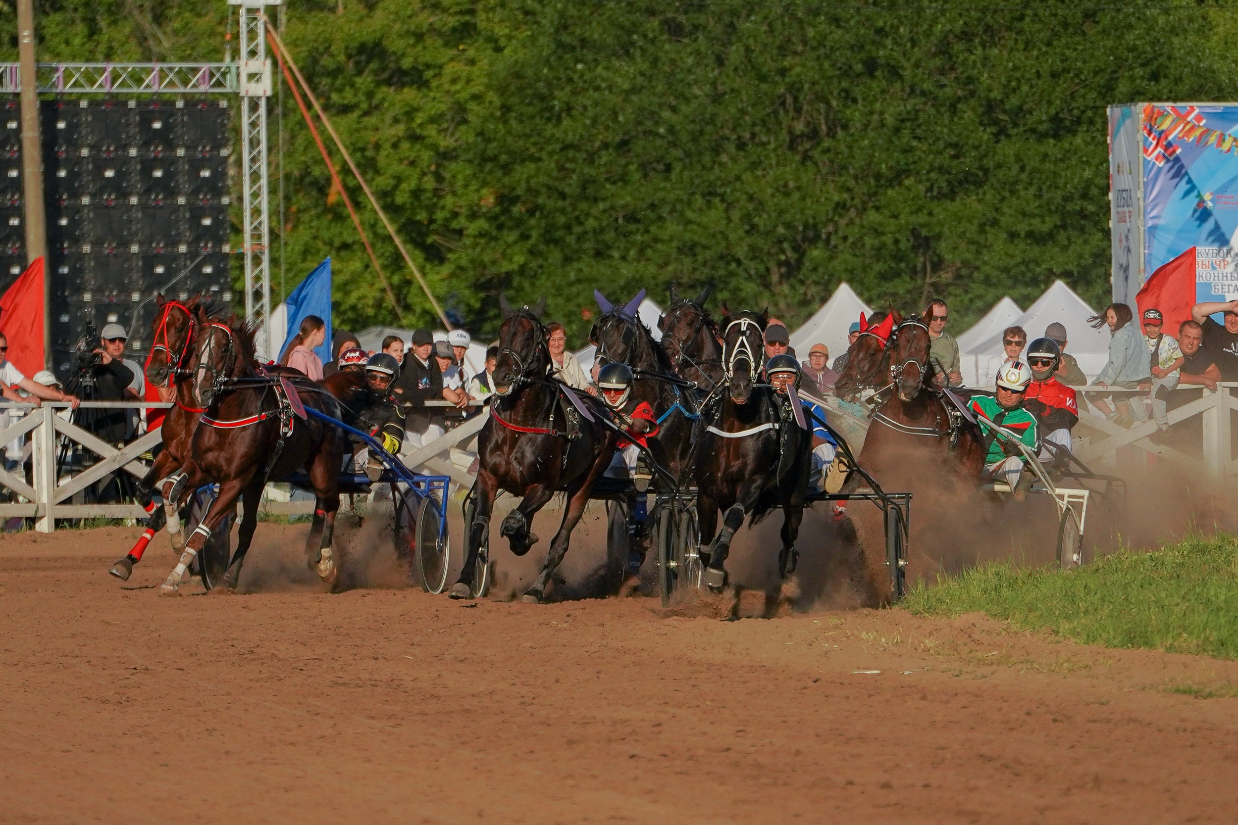 III конные бега на Кубок Главы Чувашии. Фотограф-анималист, портретный фотограф в Чебоксарах Мария Садыкова