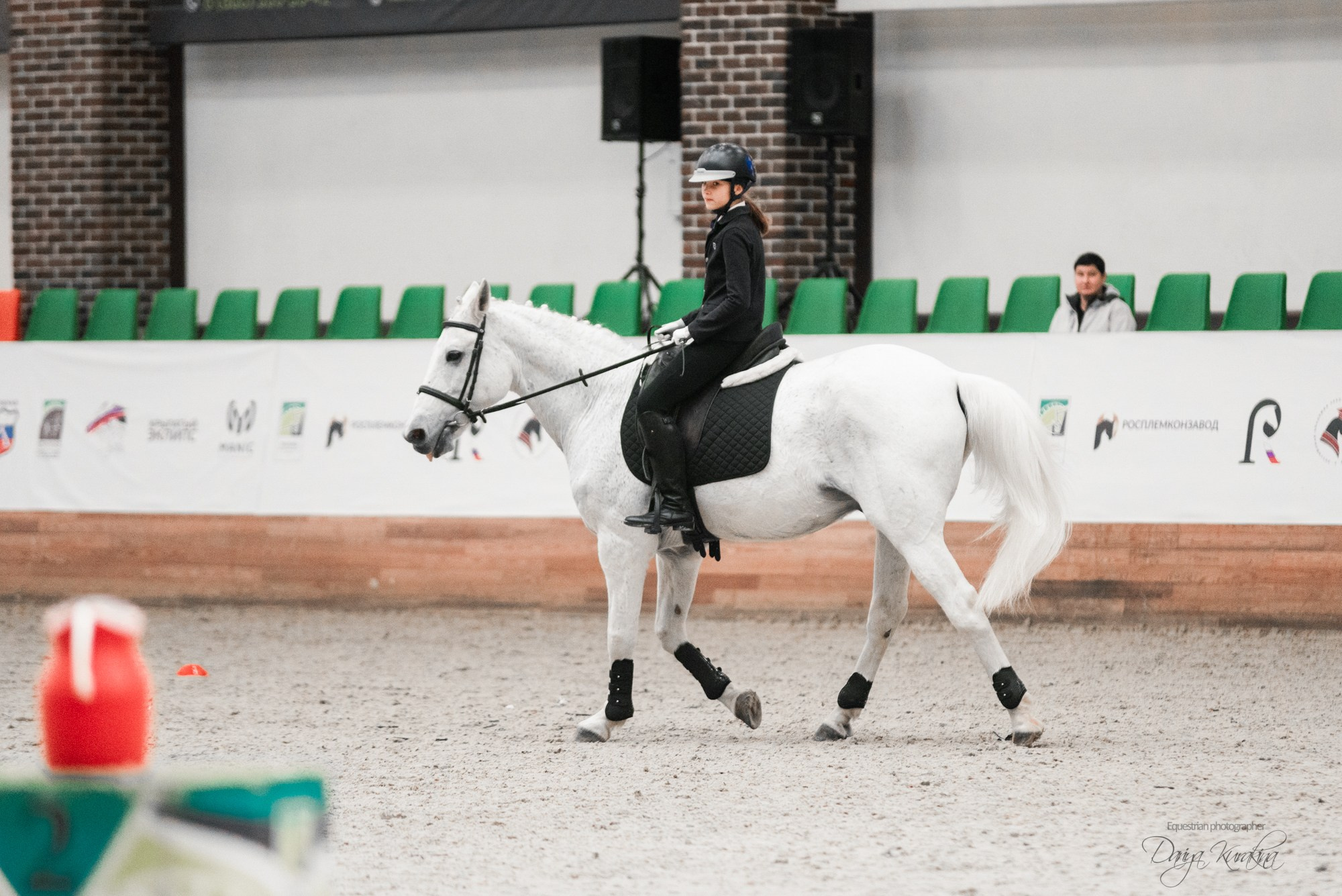 8-я международная выставка Конная Россия. Конный фотограф Куракина Дарья • Фотосессии с лошадьми