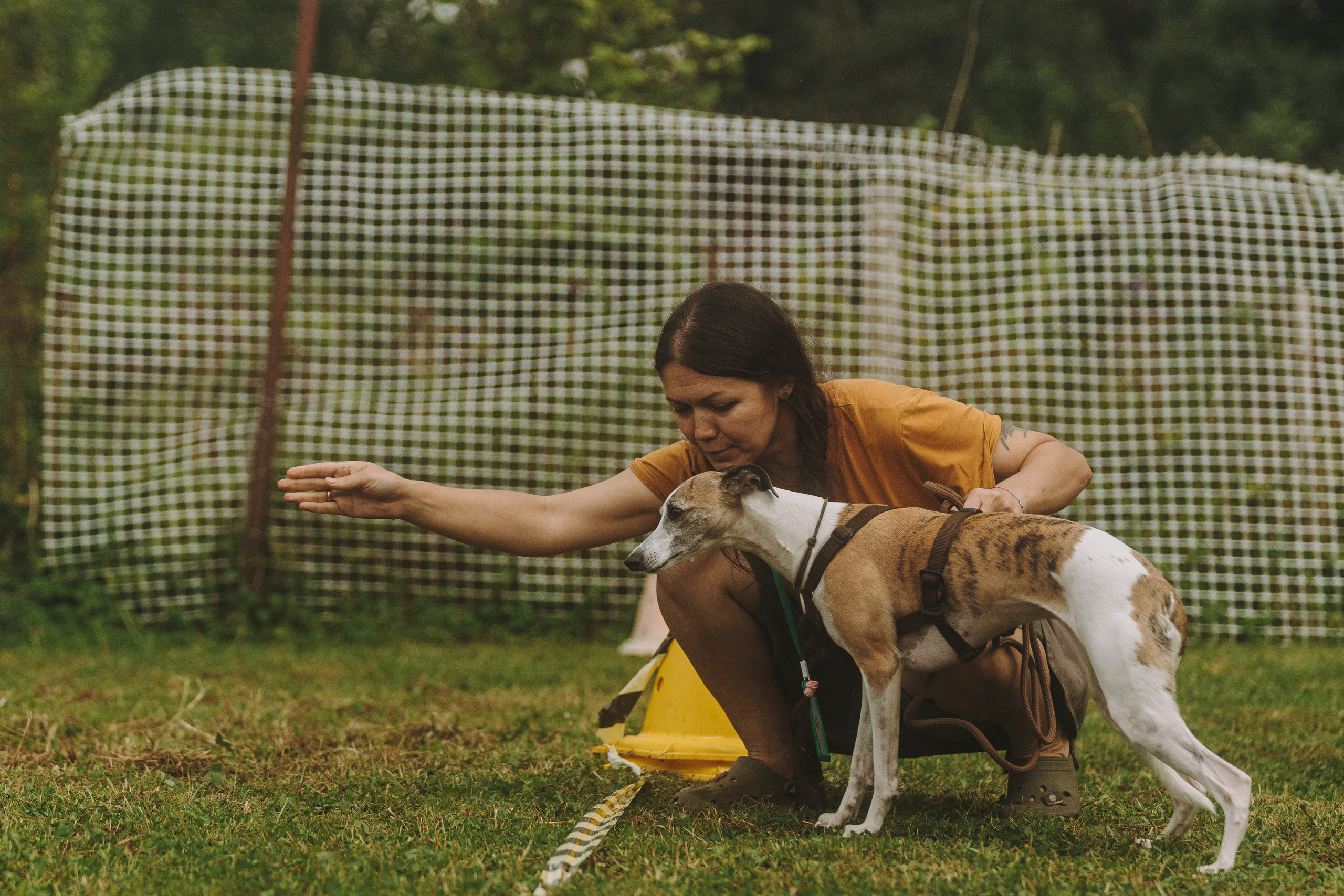 Соревнования по ноузворку в Новожилово. Фотограф анималист в Спб недорого Олеся Майорова