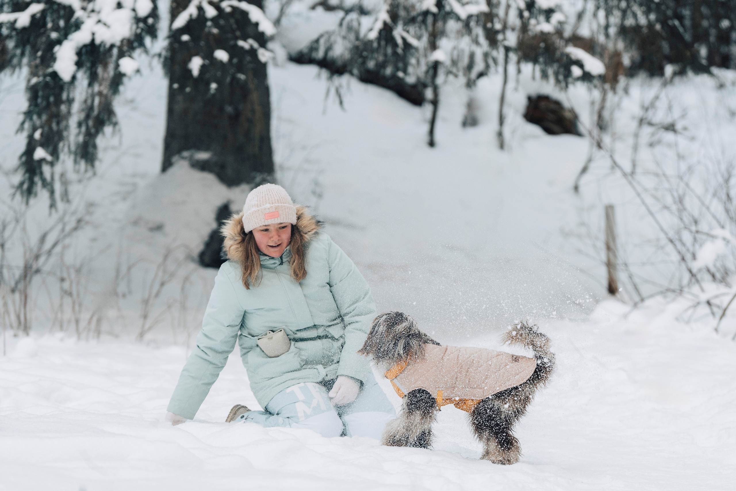 Хэйзел и её семья. Фотограф анималист в Спб недорого Олеся Майорова