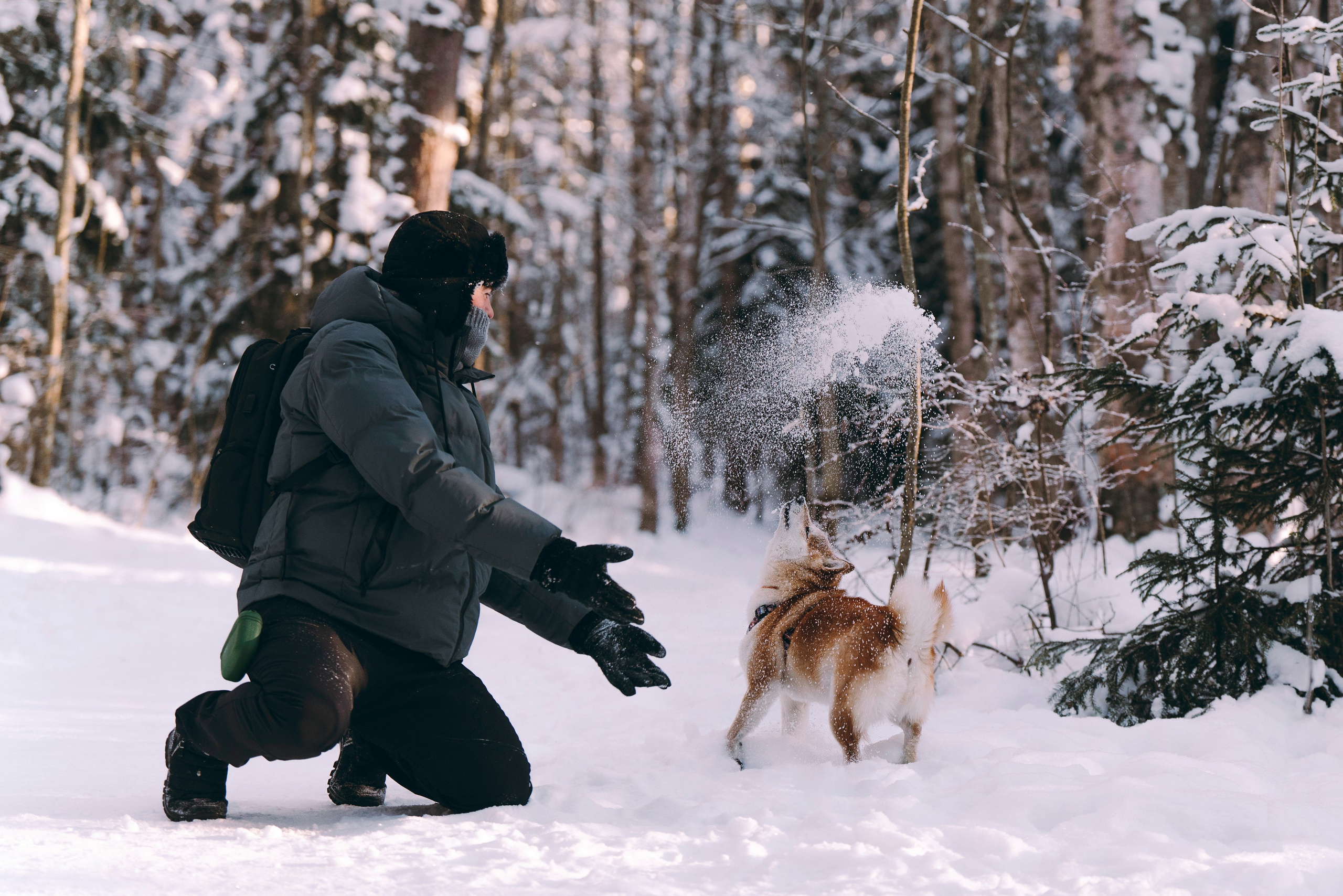 Каори, Анна и Антон. Фотограф анималист в Спб недорого Олеся Майорова