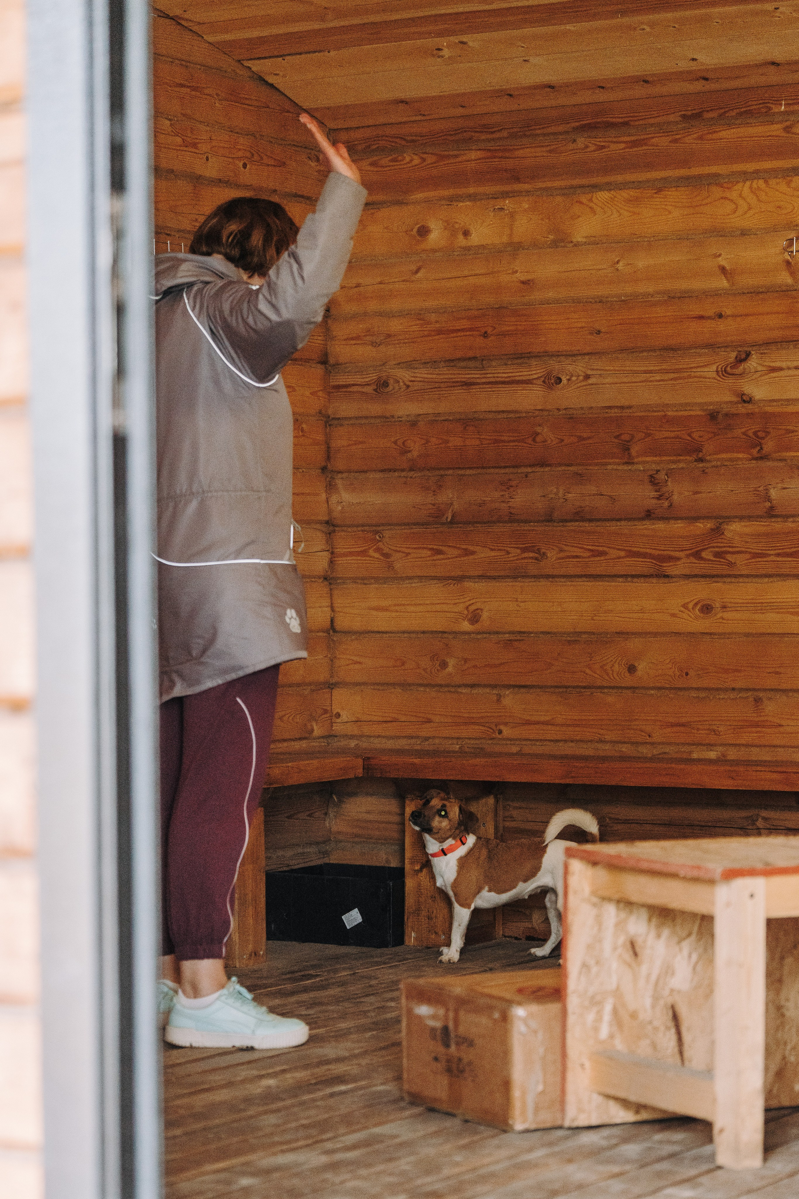 Соревнования по ноузворку в Лосево. Фотограф анималист в Спб недорого Олеся Майорова