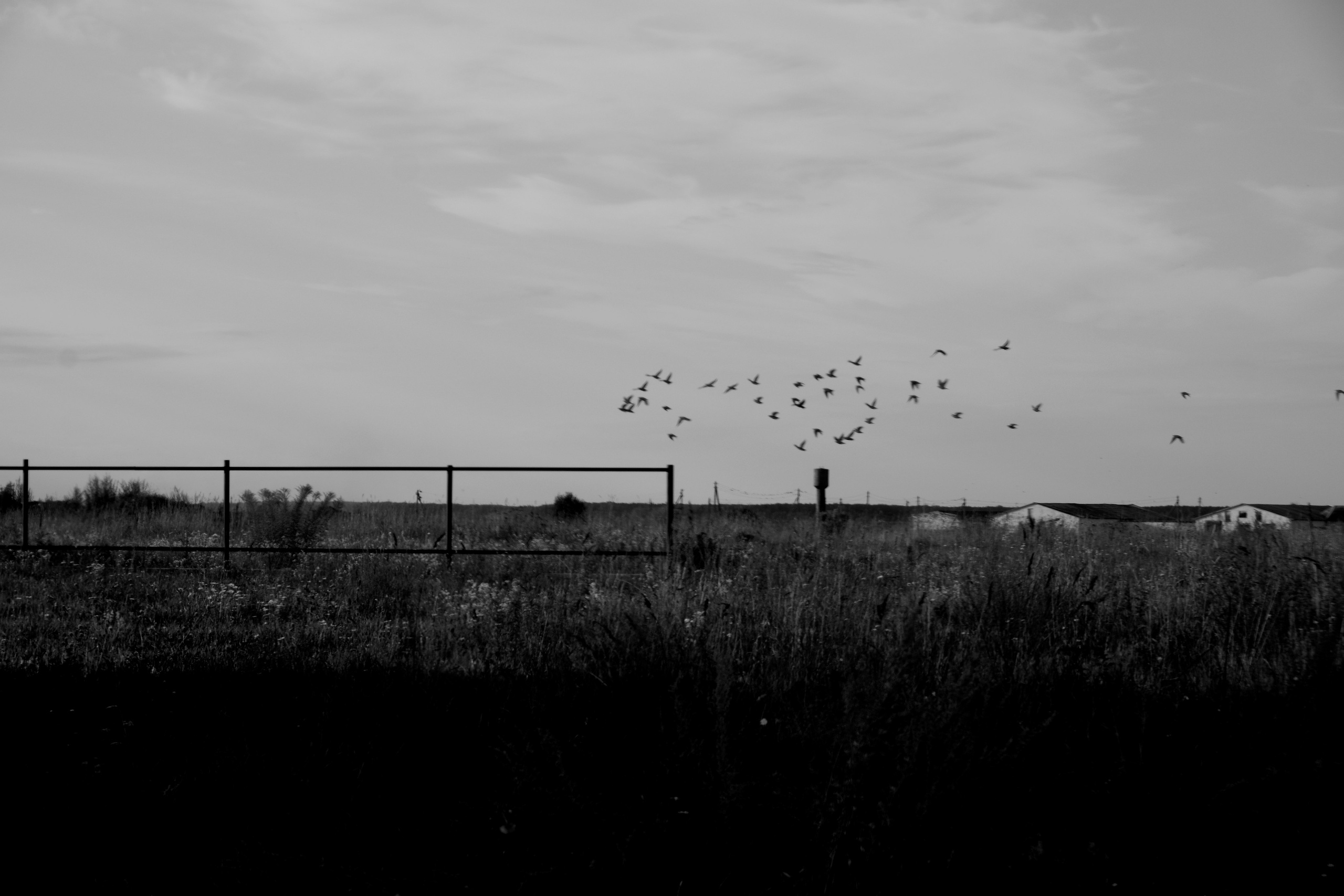 Беларусь. Фотограф Настя Лев