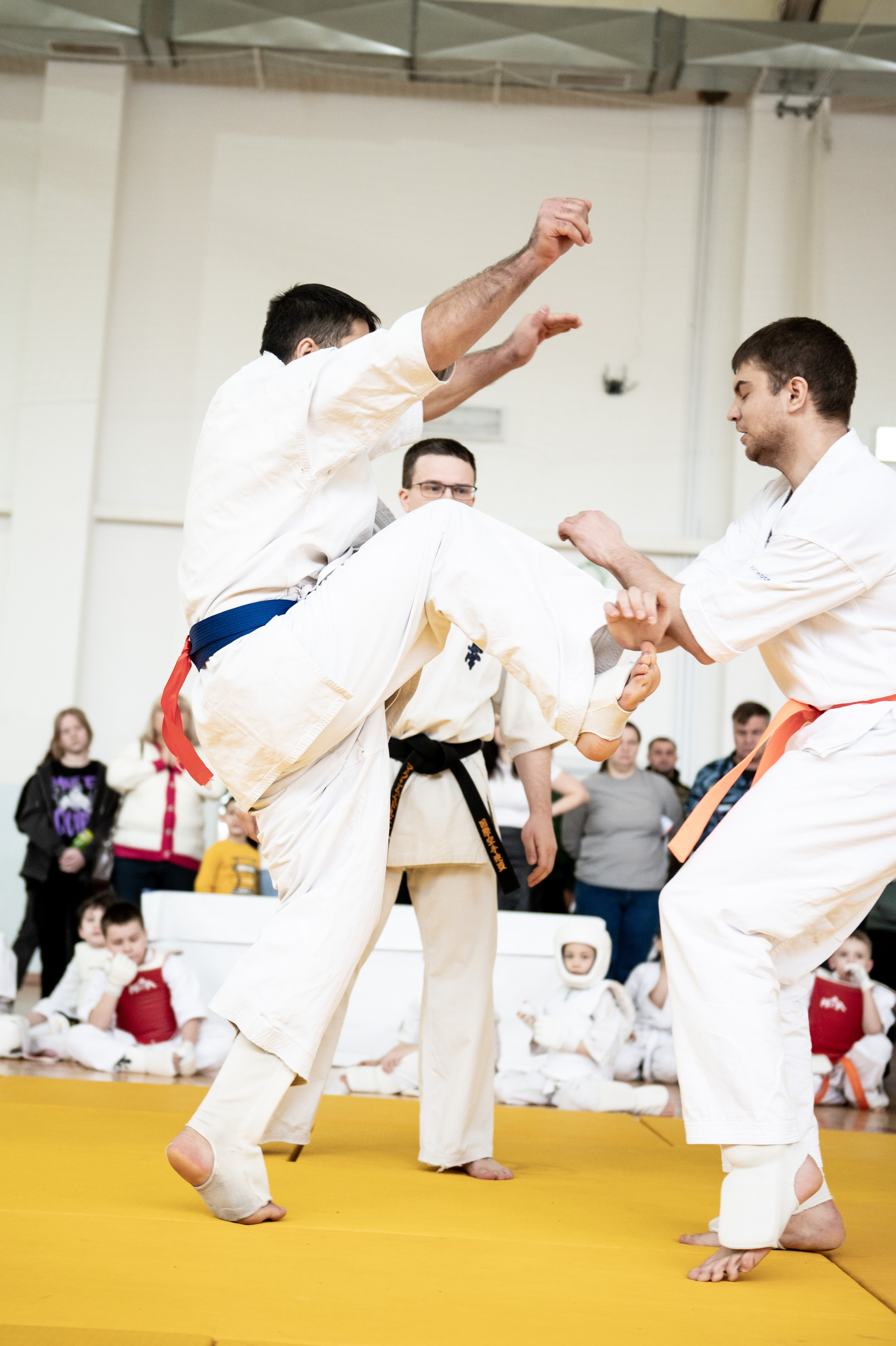 Турнир по карате кекушинкай. Февраль 2024. Спортивный фотограф в Туле и Тульской области. Файсханова Фото Спорт